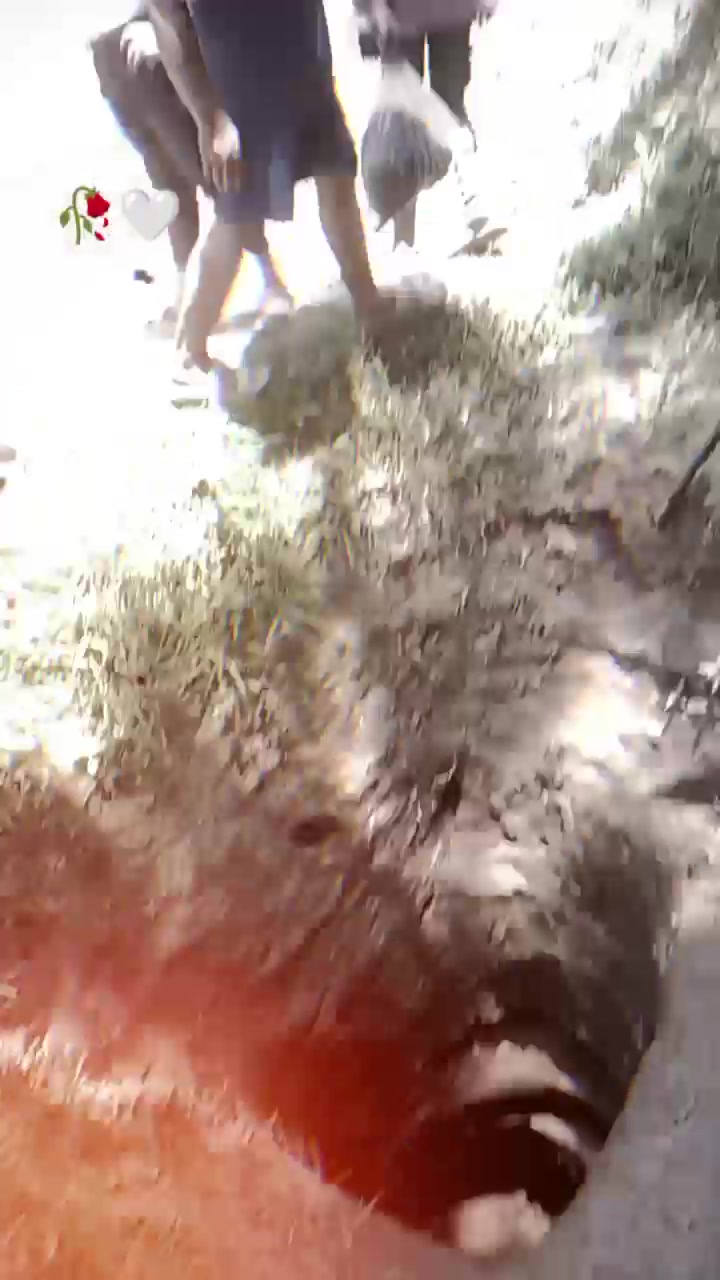 @tfiicxfcvovvpfx