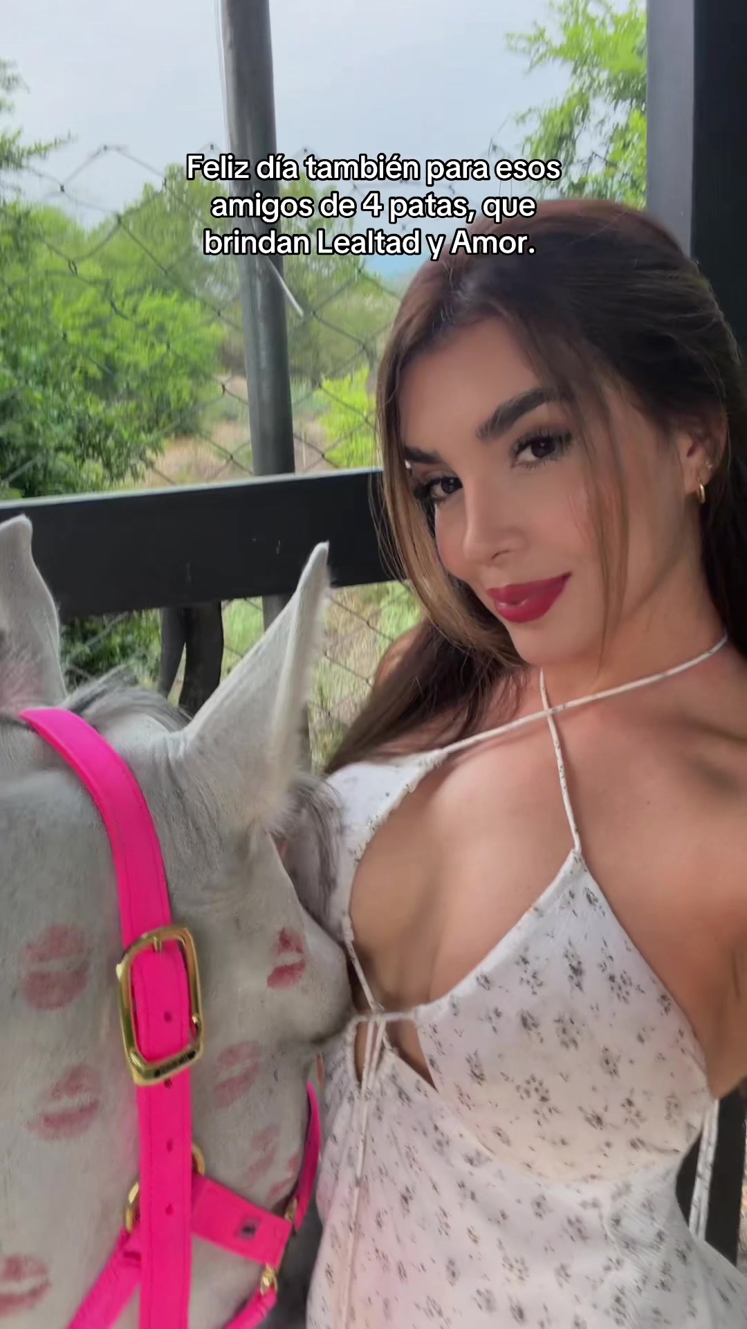 @🤍🐮 Allison Hernández 🐮🤍
