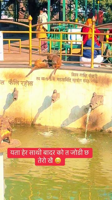 @सुबास विक्रम चन्द🇳🇵