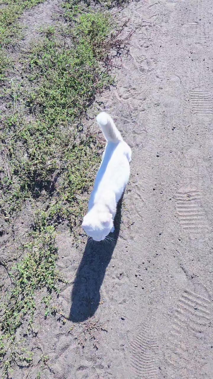 @ХАРАКТЕР