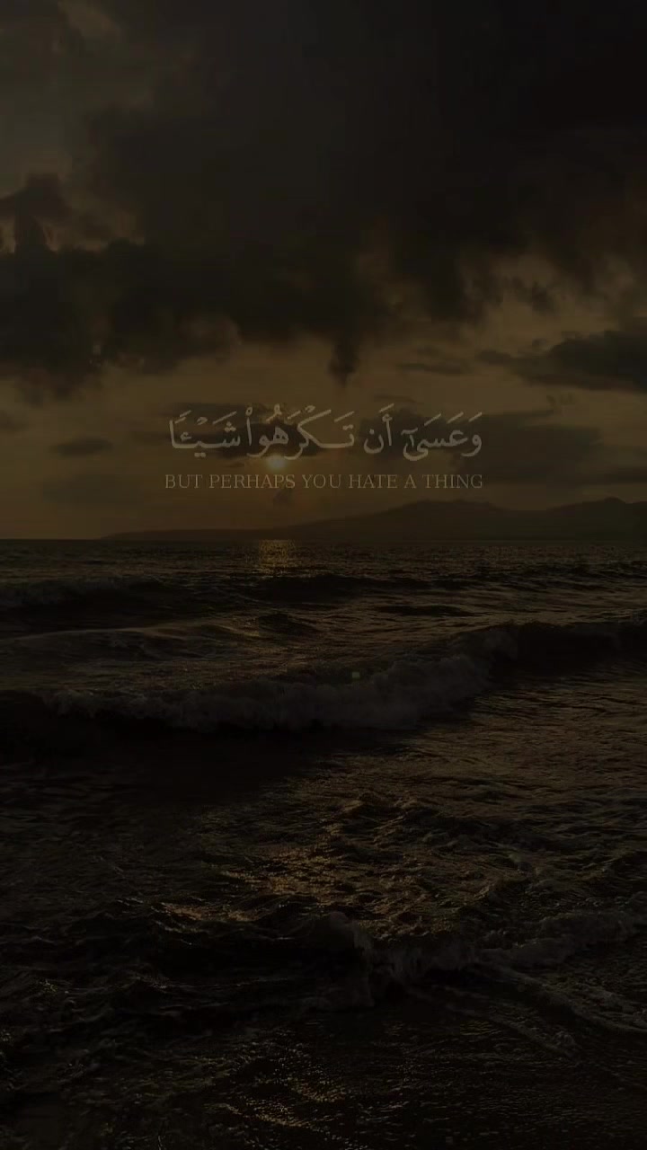 @صلى على النبي
