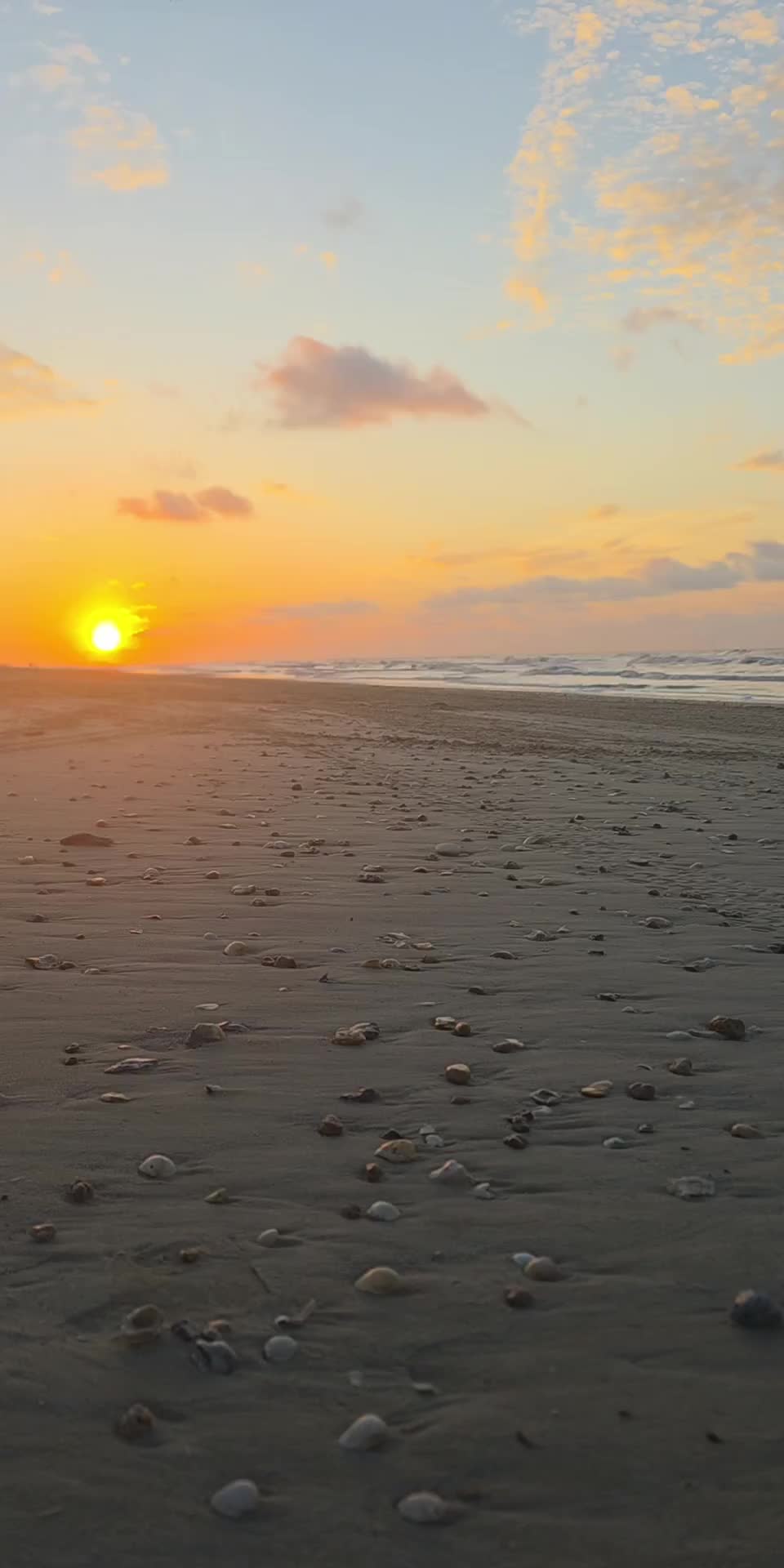 @BeachDayz40
