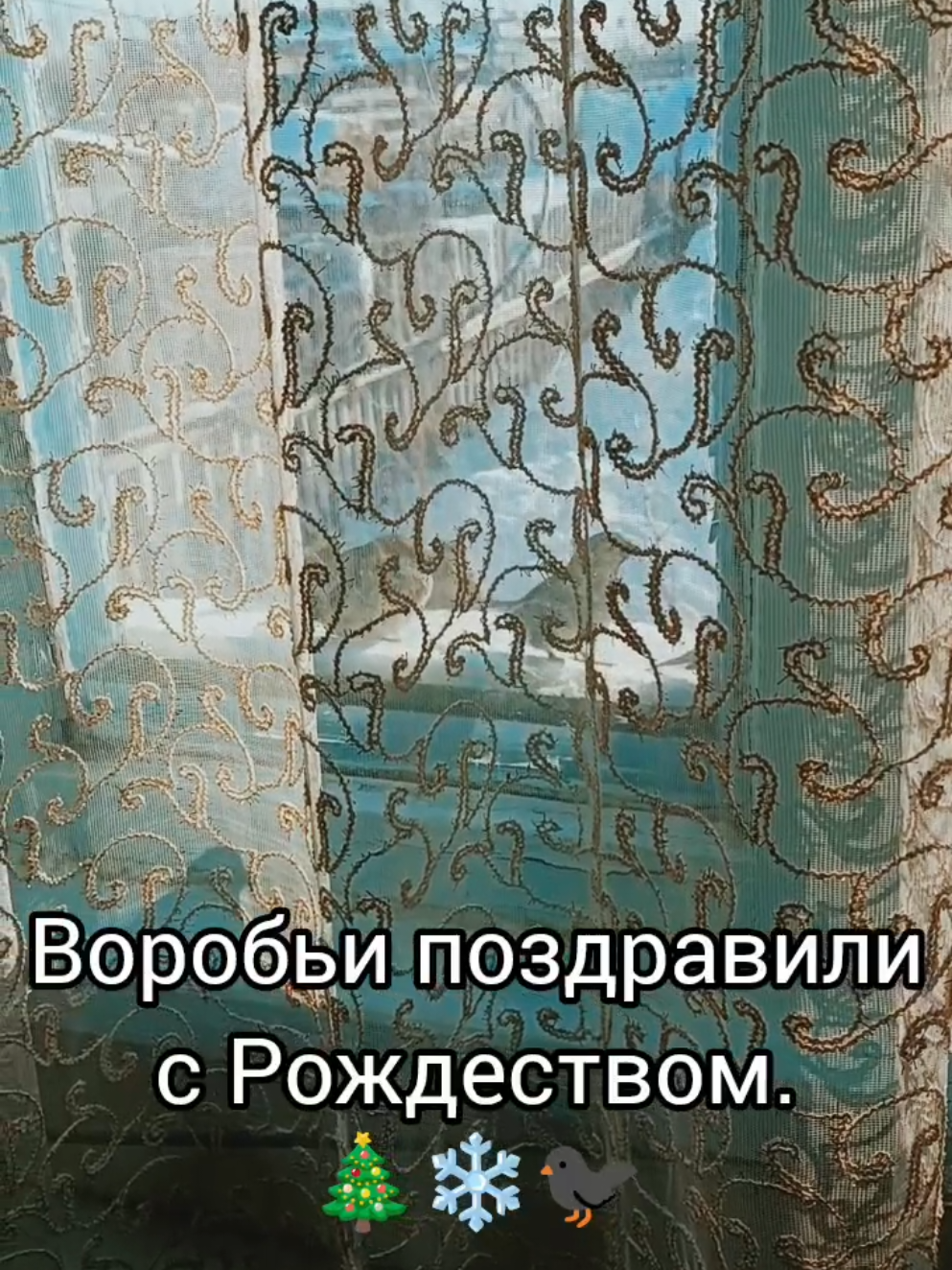 @Ромик Цветовод