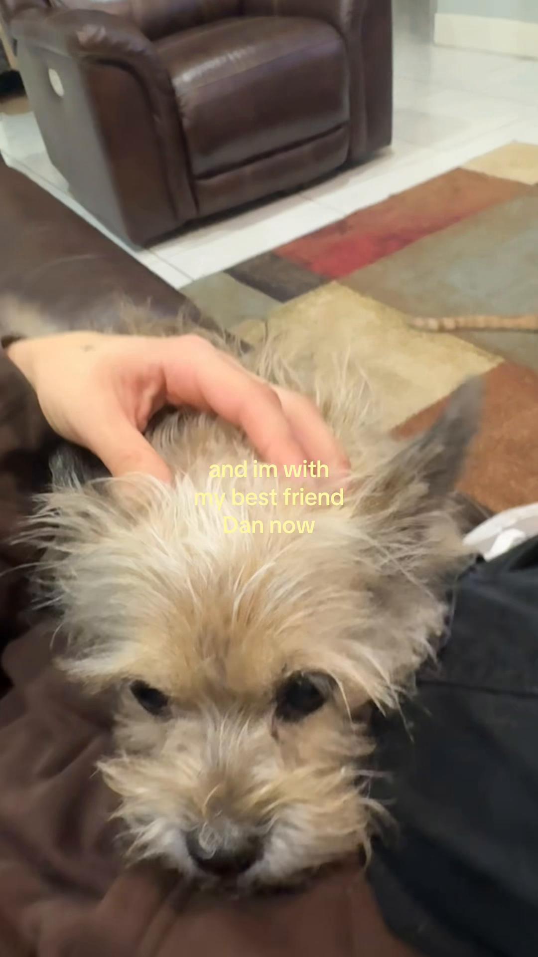 @Ari