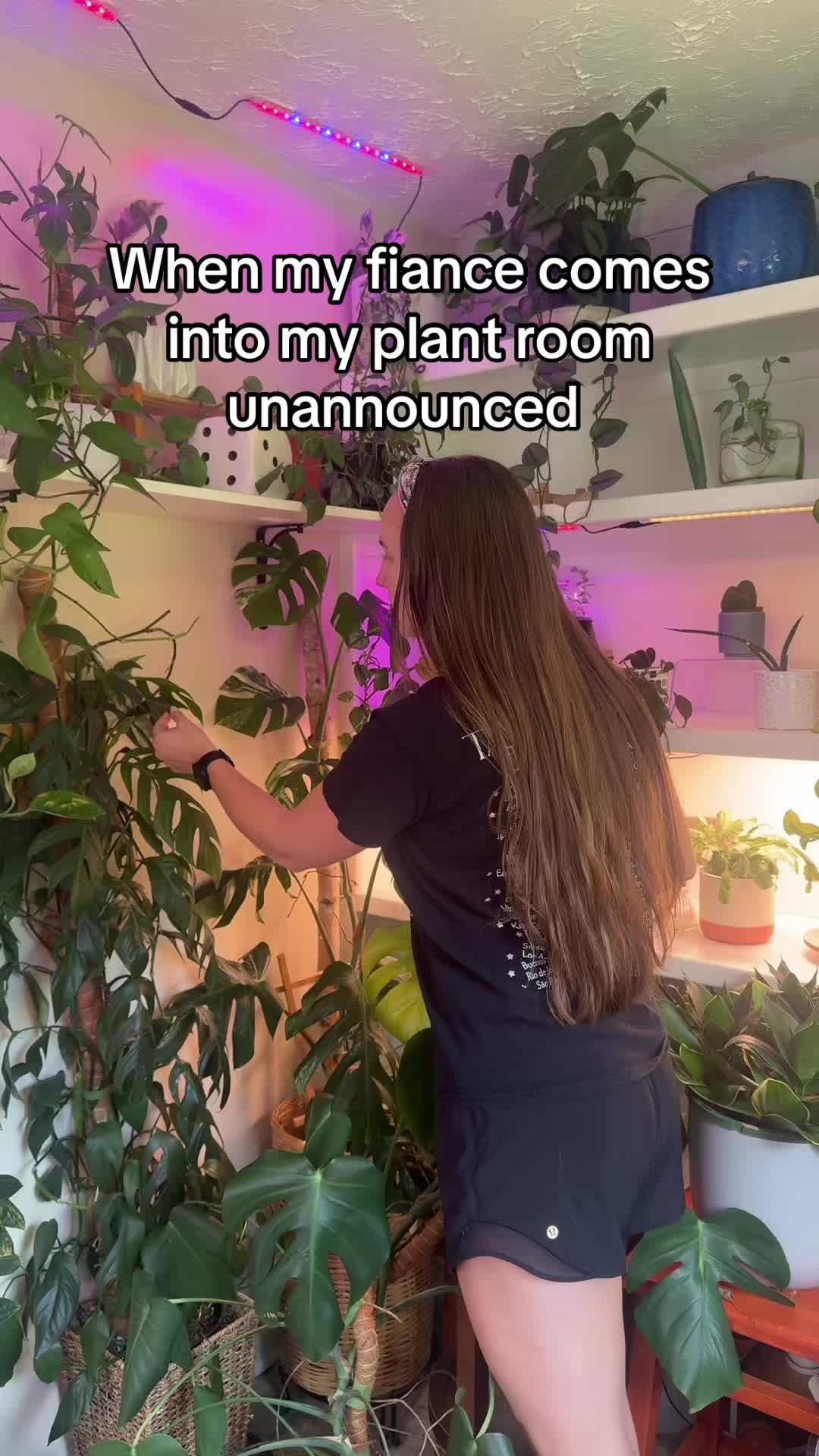 @Pretty Plants Nashville