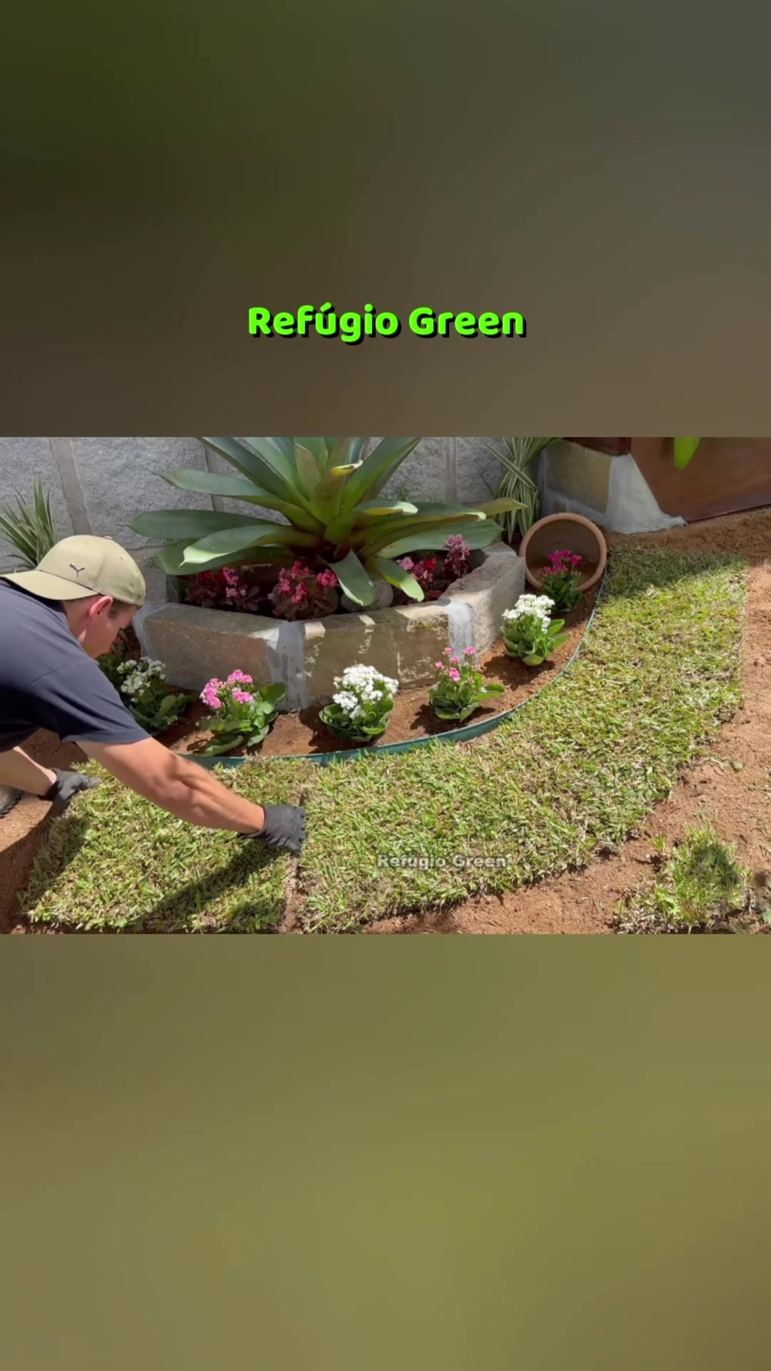 @Ref&uacute;gio Green