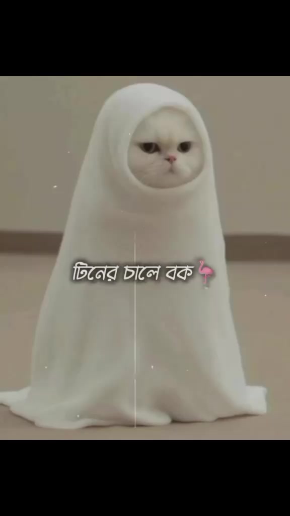 @~Cute~✨