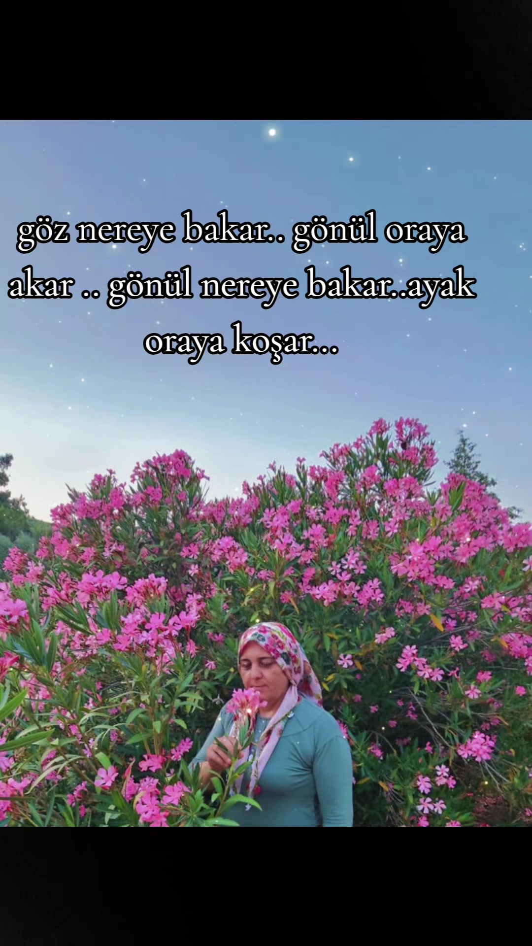@nimetaktay