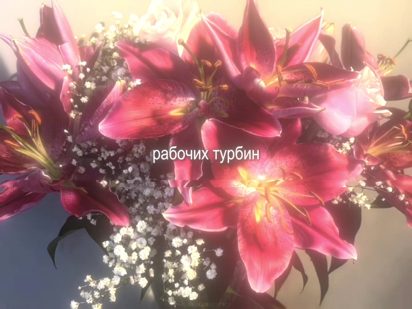 @звуки для липсингов