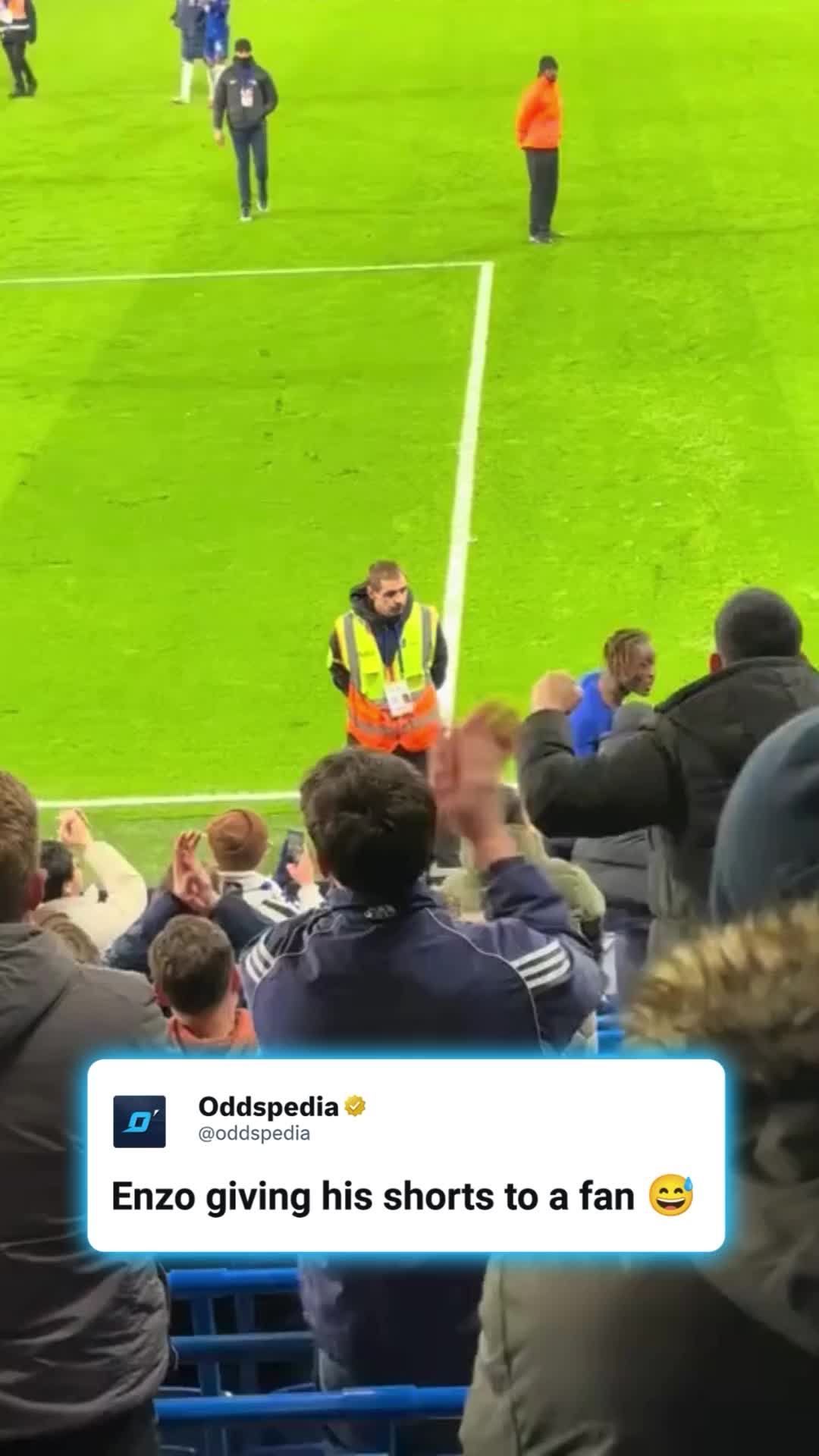 @oddspedia