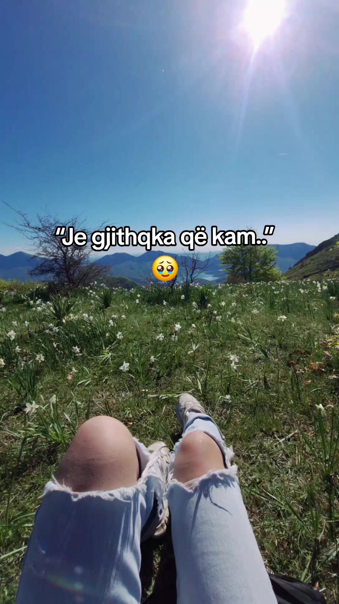@🍃