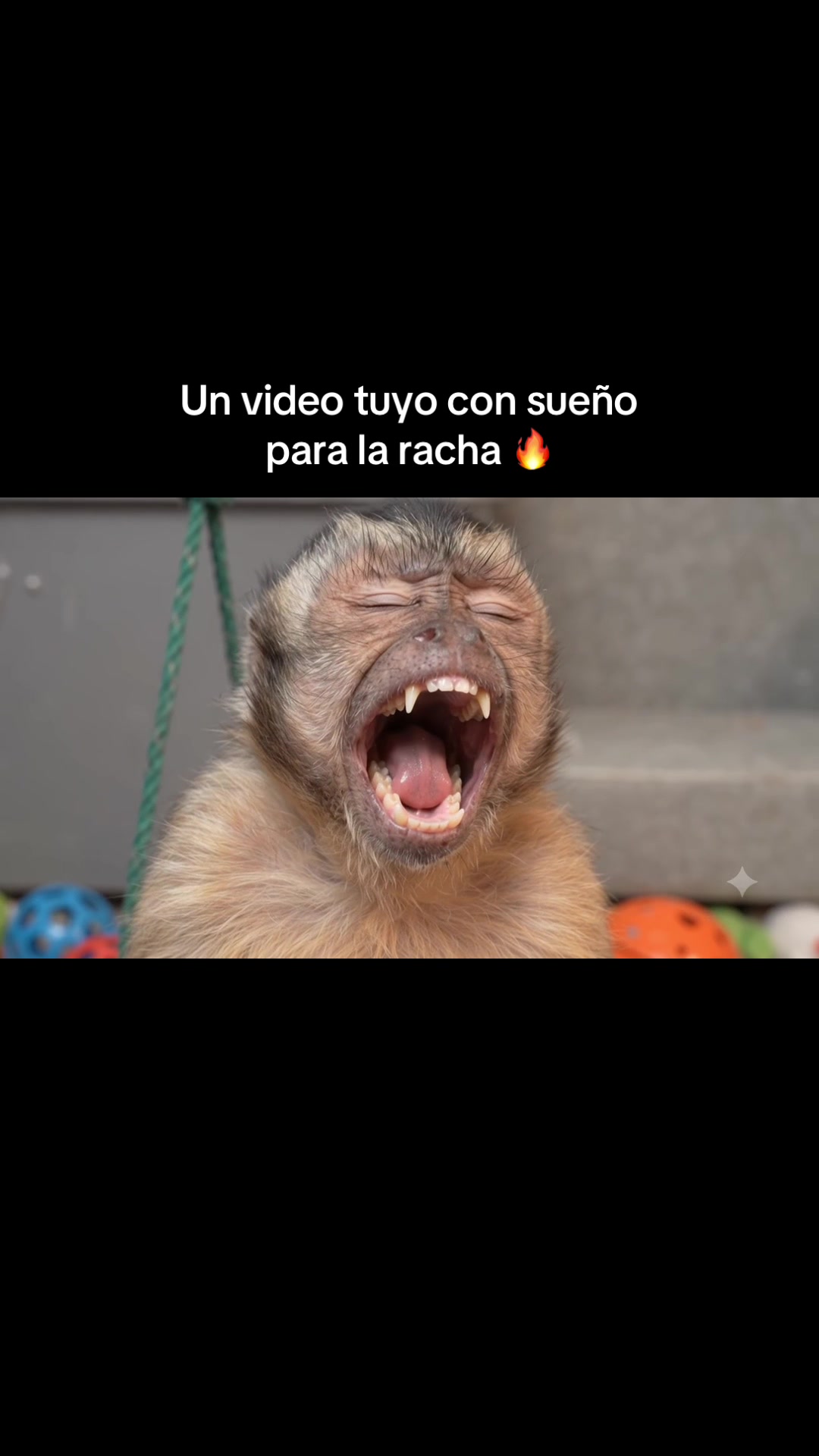 @RabPesito 🔥