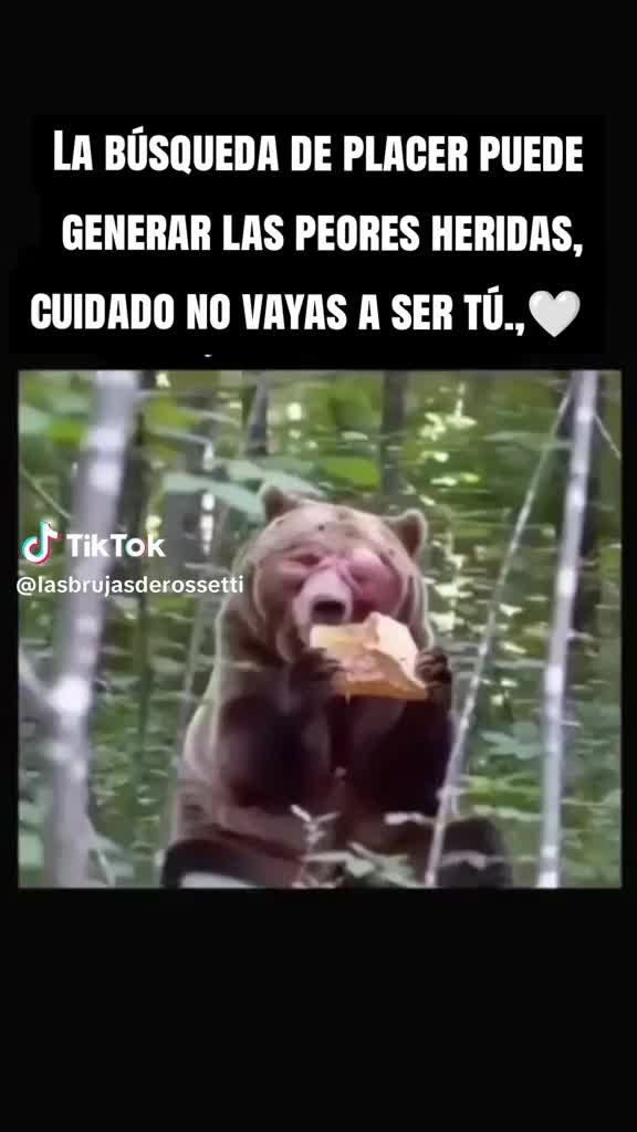 @www.tiktokcomjustme8