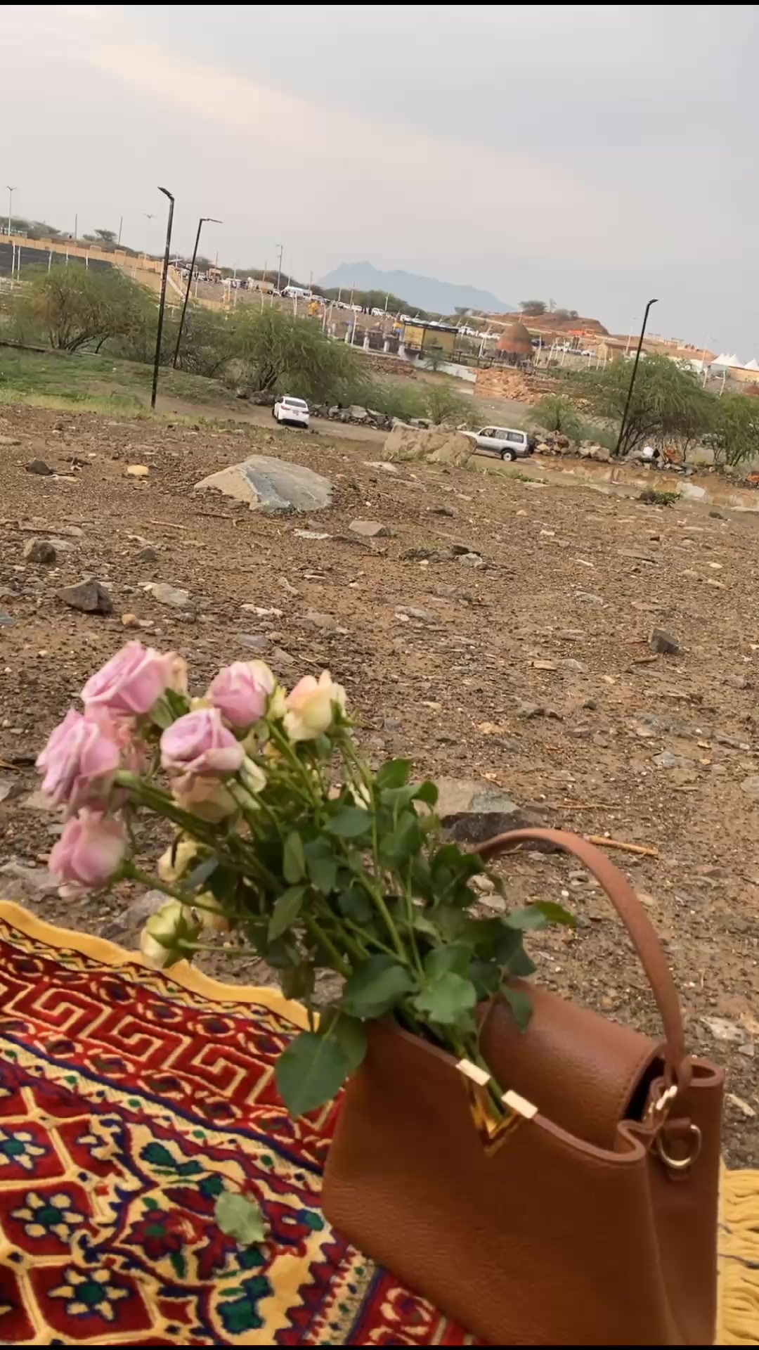 @دلال 😔