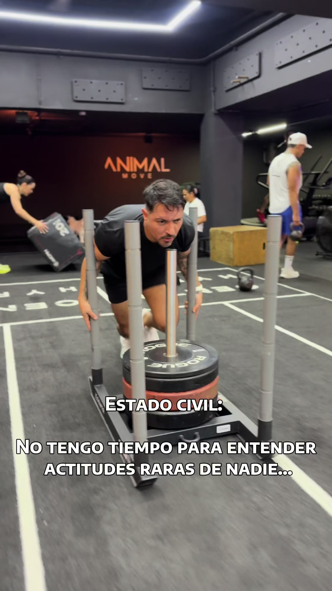 @Milo Campos