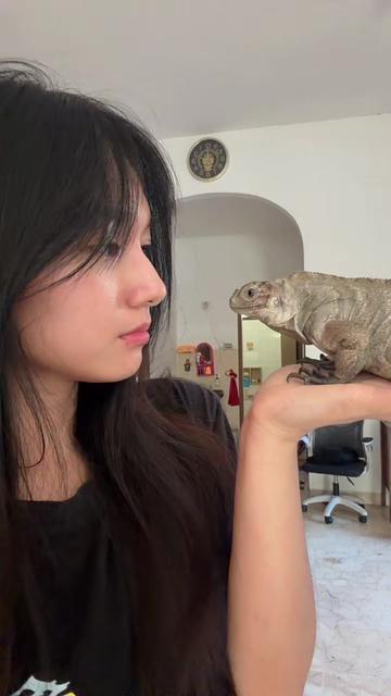 @gobi.and.eli