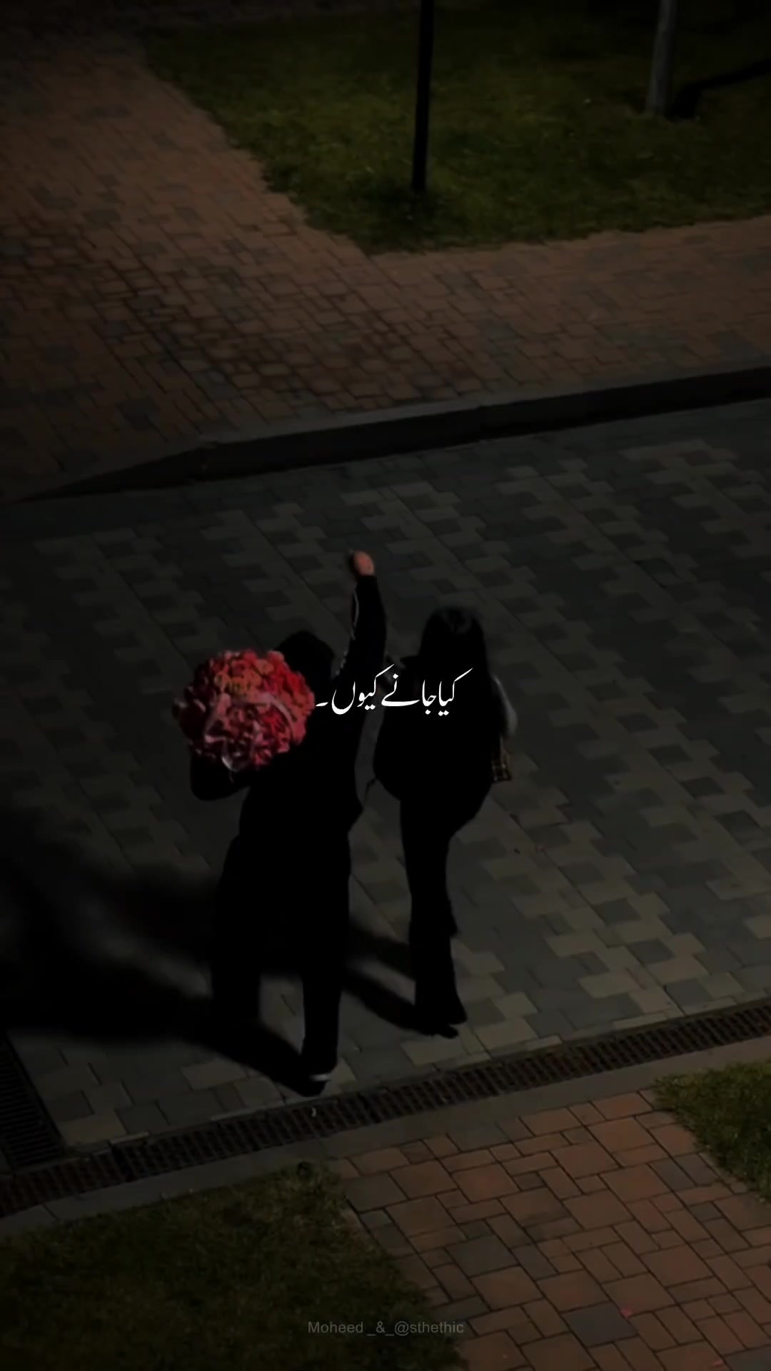 @Moheed astethic 🙈🕊️🤭