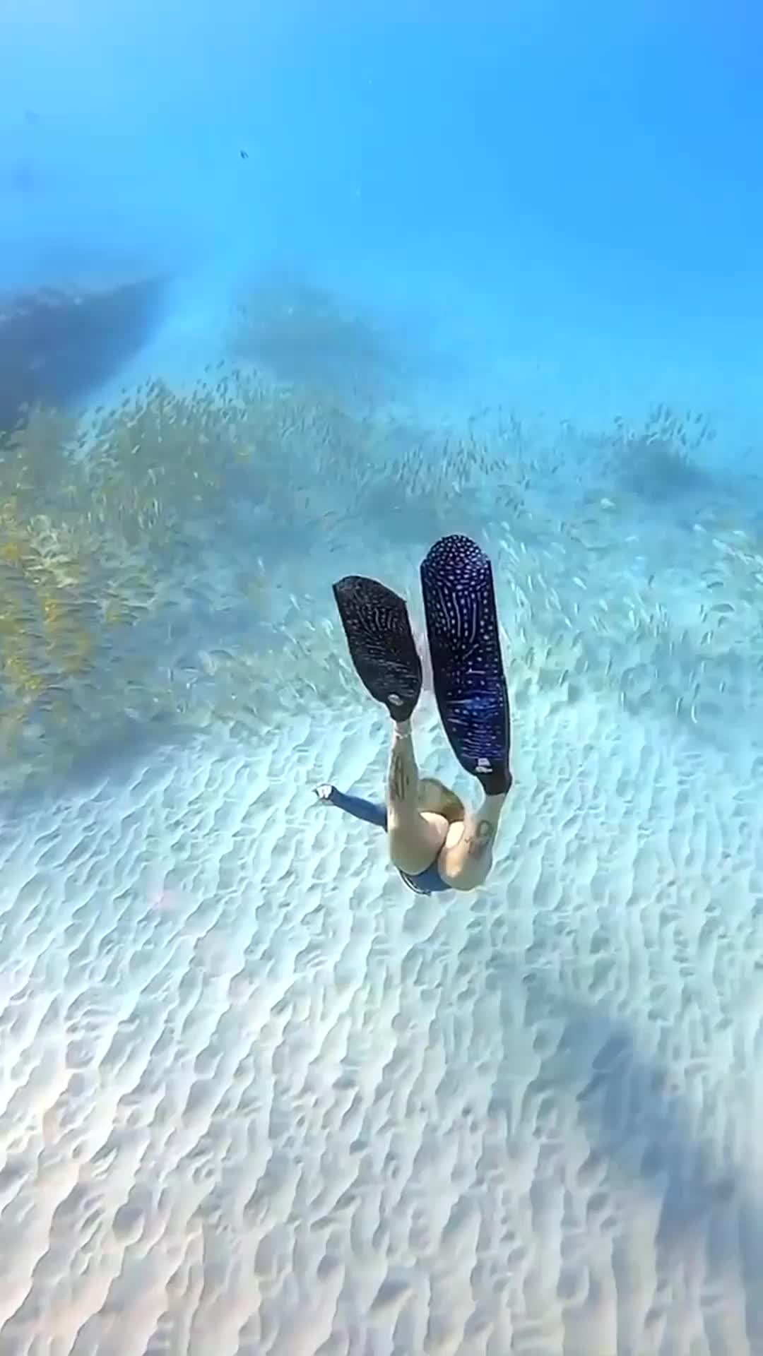 @danijoelle240