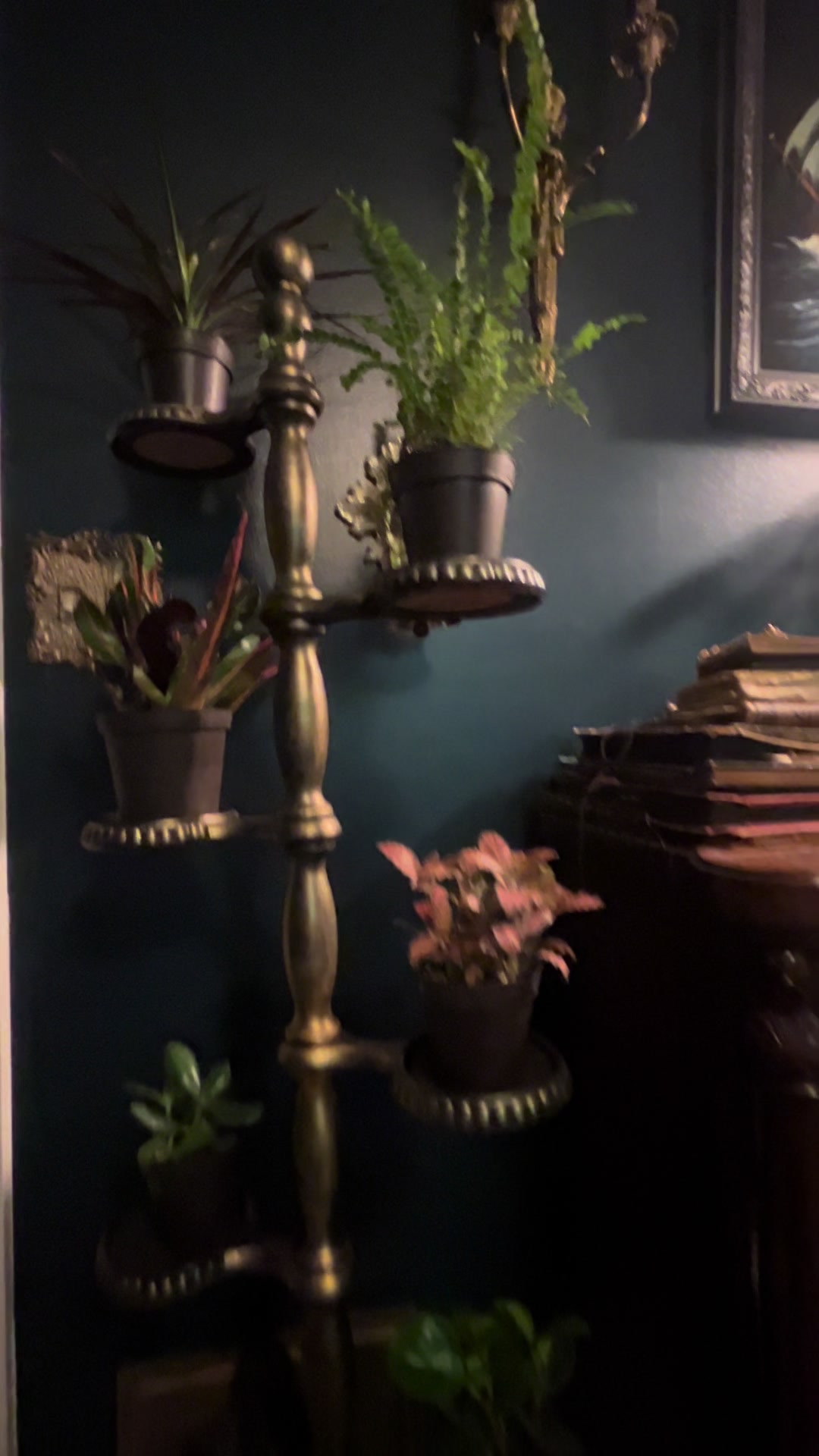 @The Hideaway at Mystic Falls
