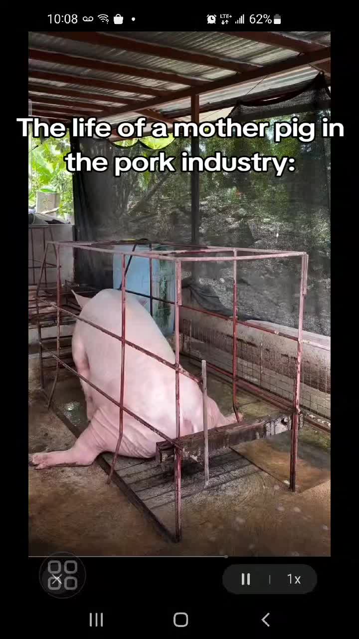 @BLIND2ABUSE