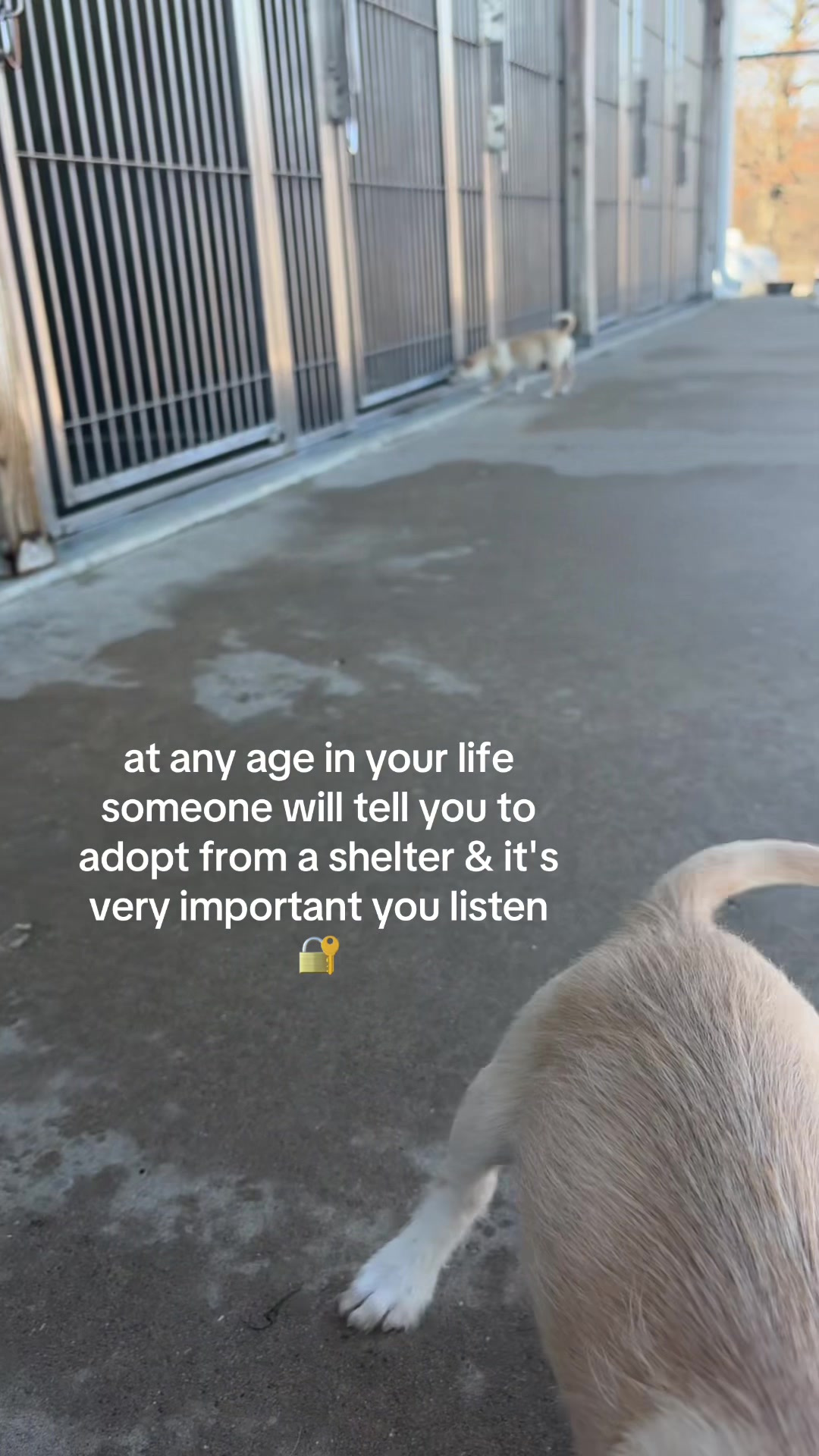 @FaithfulFriendsAnimalAdvocates