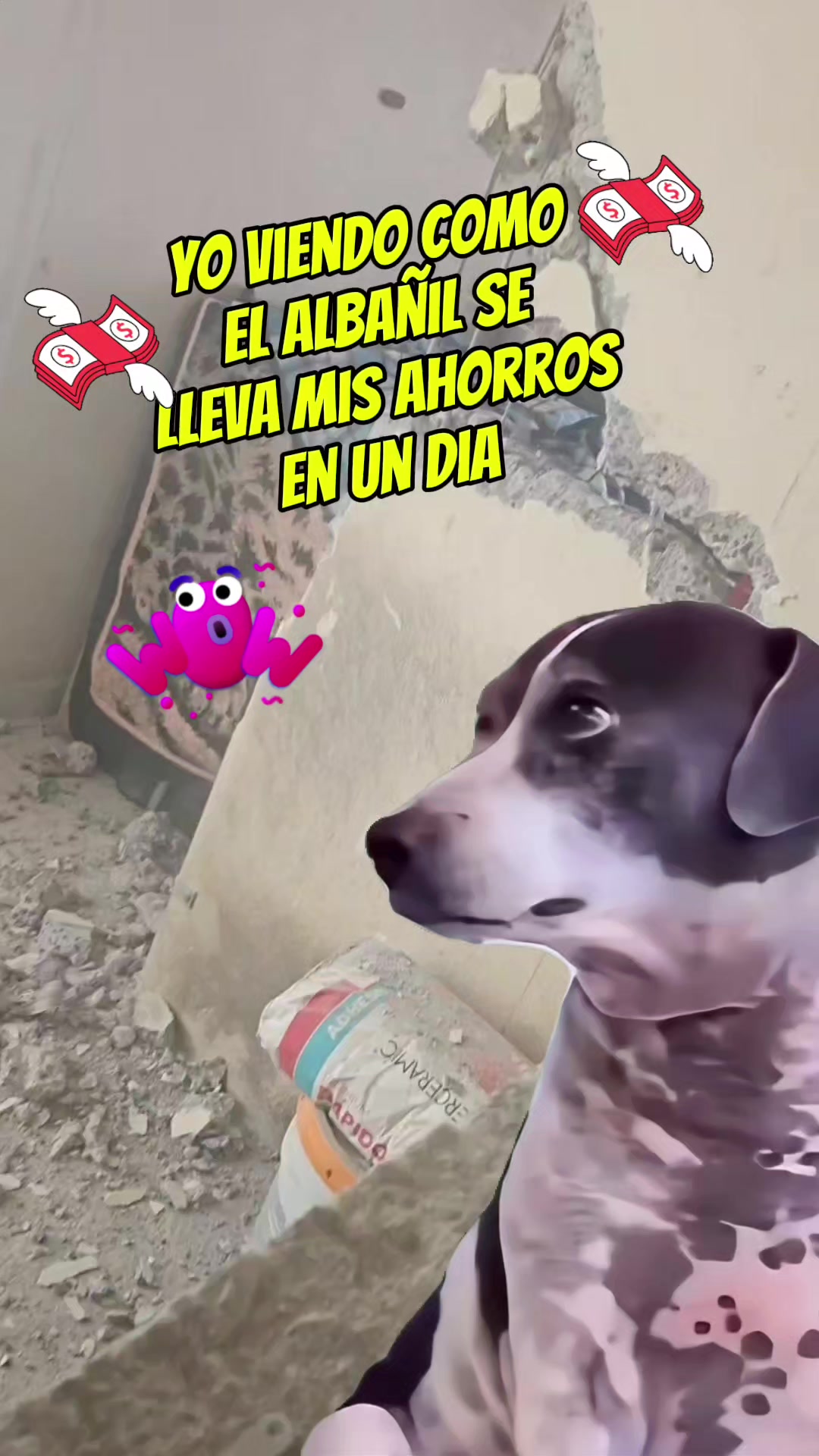@Brenda &hearts;️