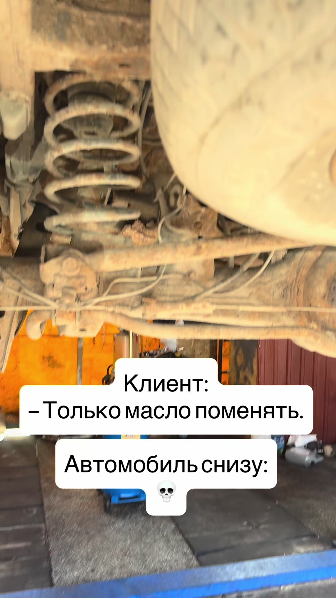 @autopoint_mne