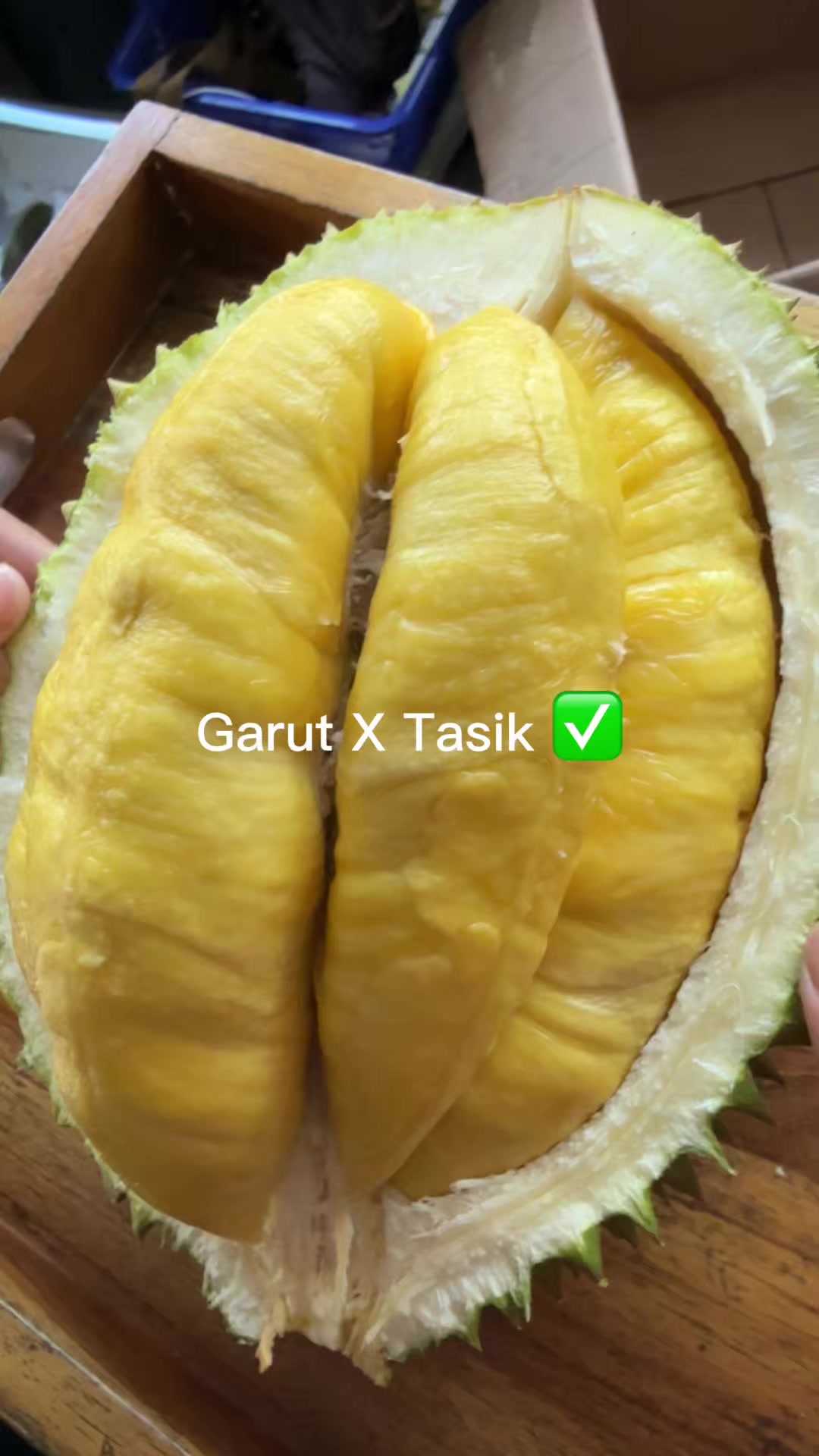 @AA KADU