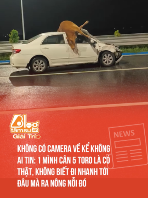 @Blog T&acirc;m Sự Giải Tr&iacute;