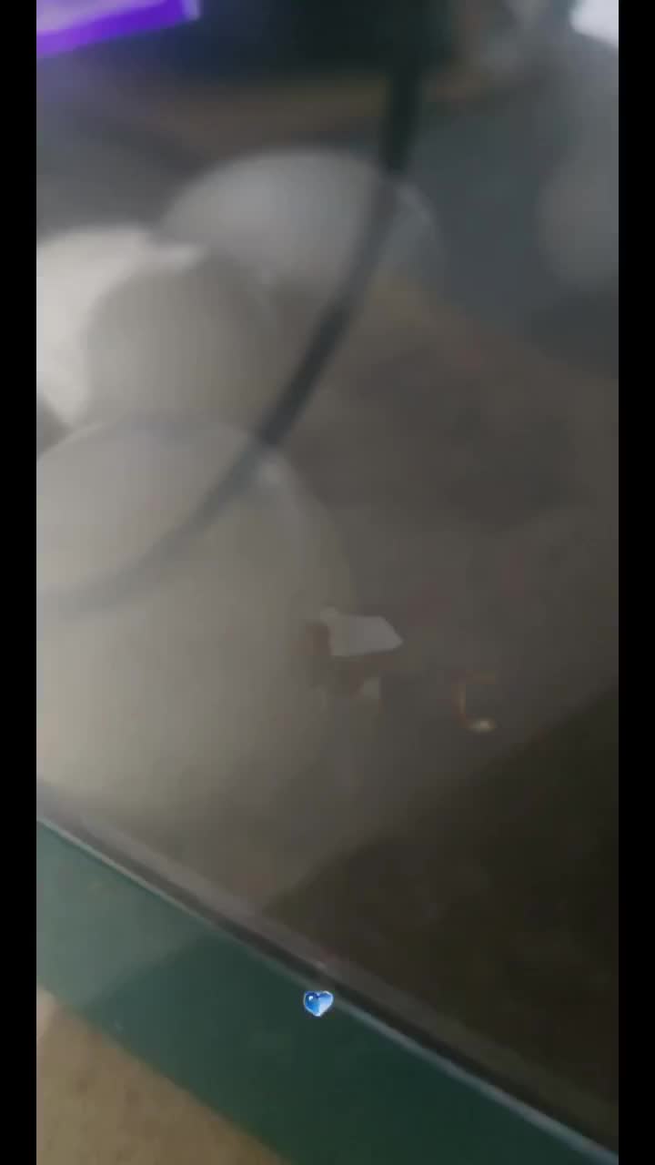 @Cyndeerella🇦🇺