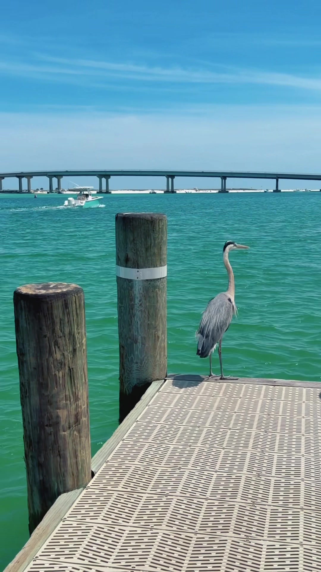 @All Things Emerald Coast