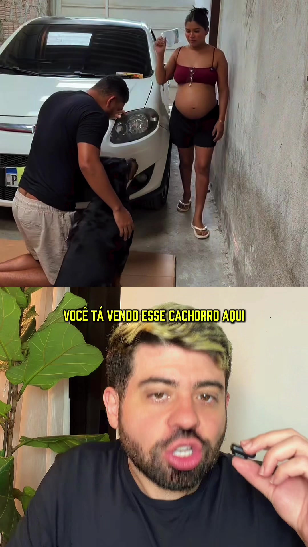@Vinicius da Ilha 🏝🏳️&zwj;🌈