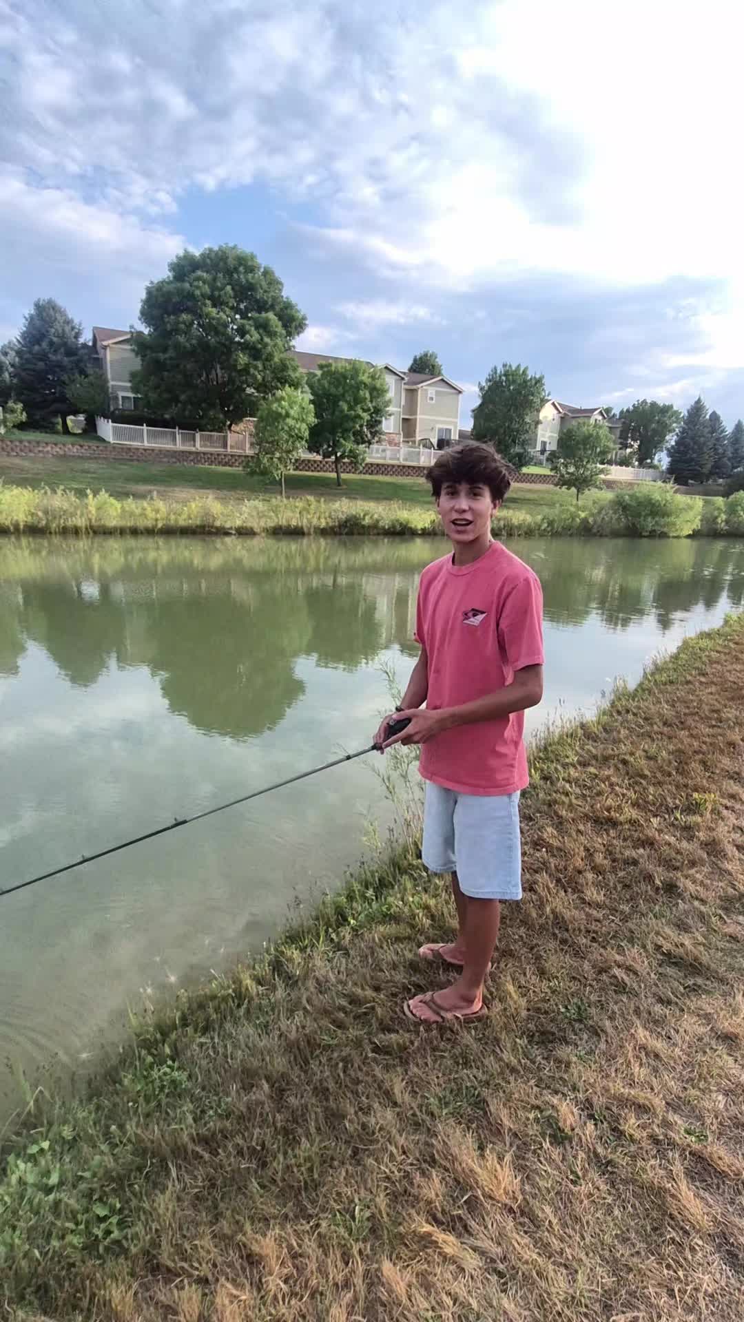 @AustinFishes