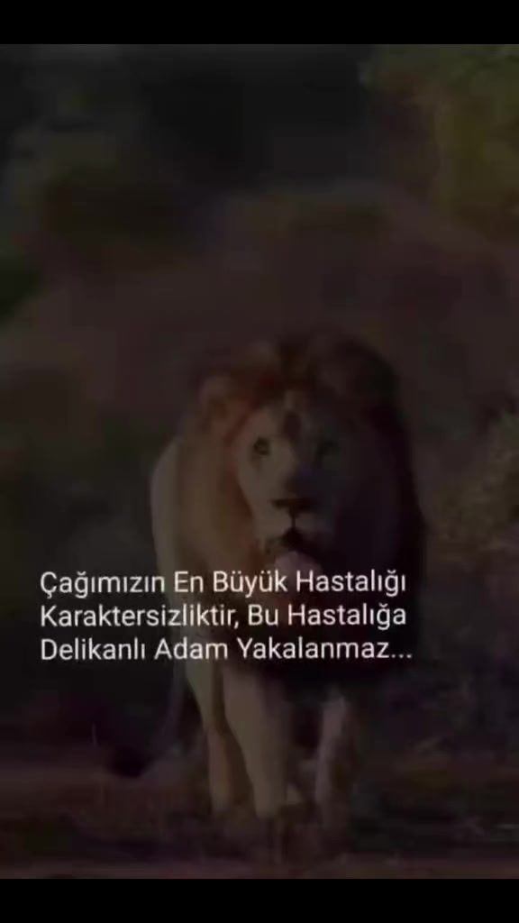 @Serkoficall