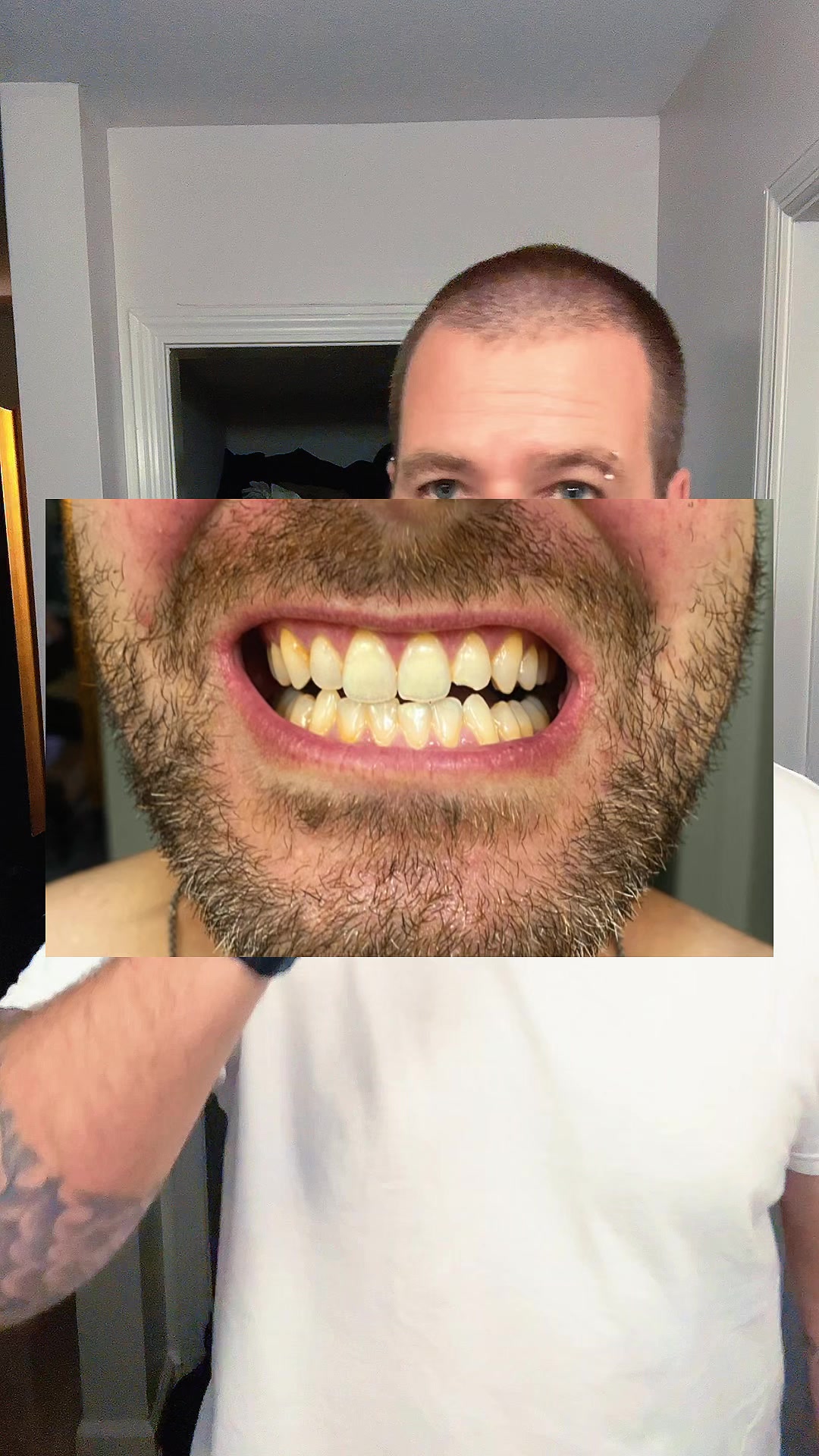 @tripptokkshopp