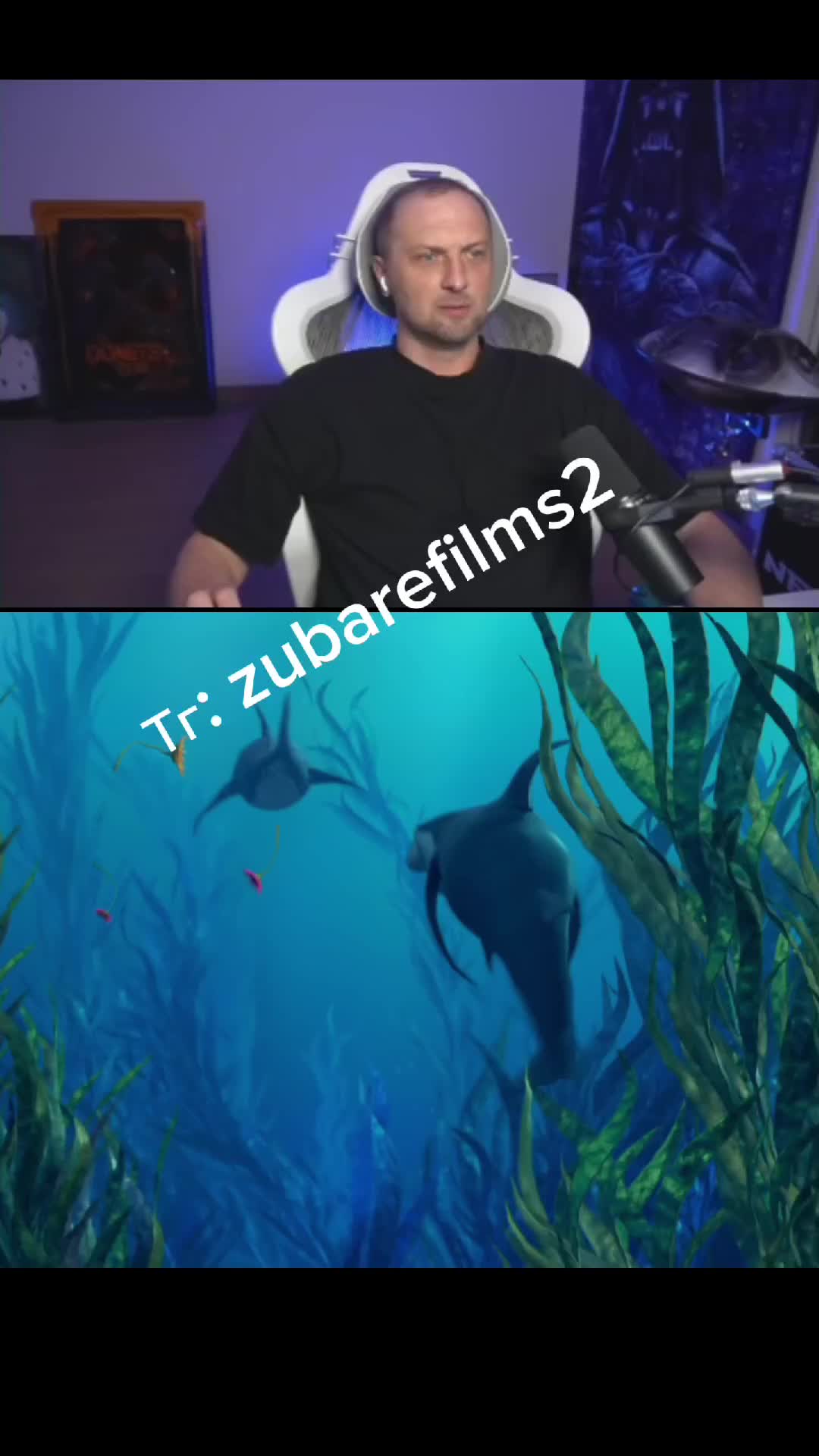 @Zubarefff