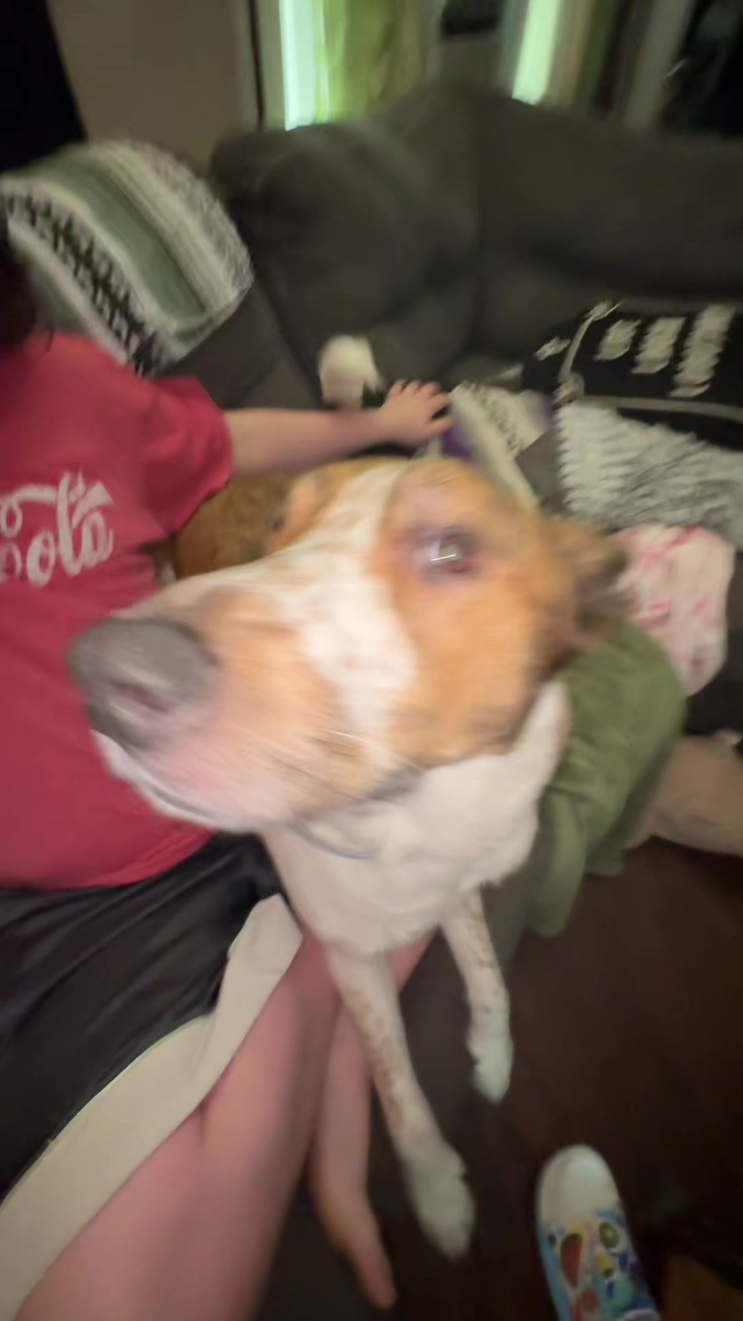 @𝕿𝖗𝖎𝖝 𝖂𝖎𝖓𝖈𝖍𝖊𝖘𝖙𝖊𝖗