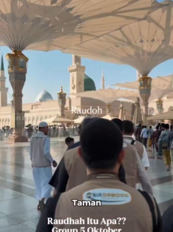 @Bin Dawood Tour And Travel