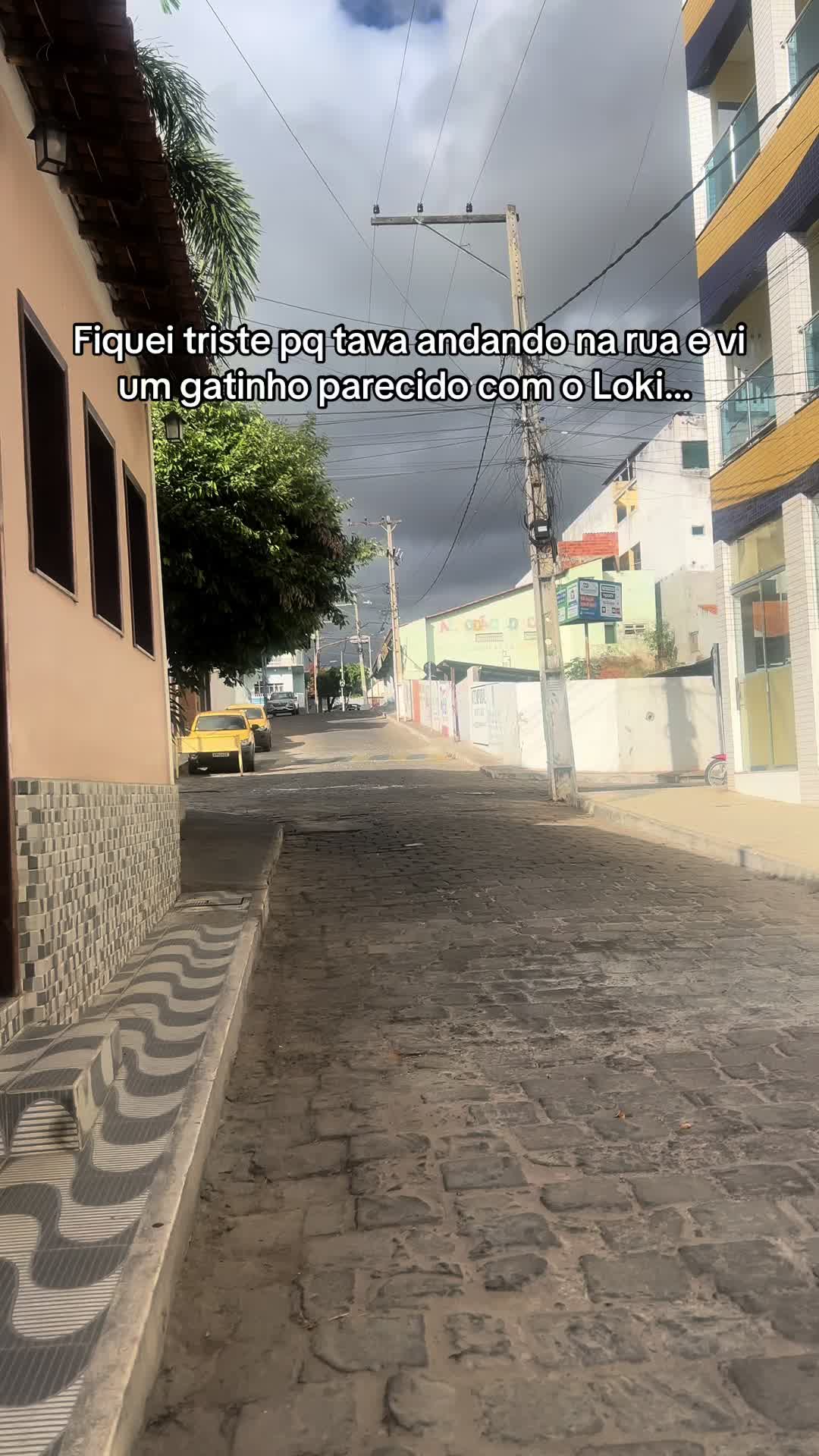 @MAIONESE