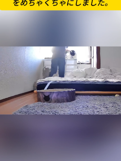@ねこびより