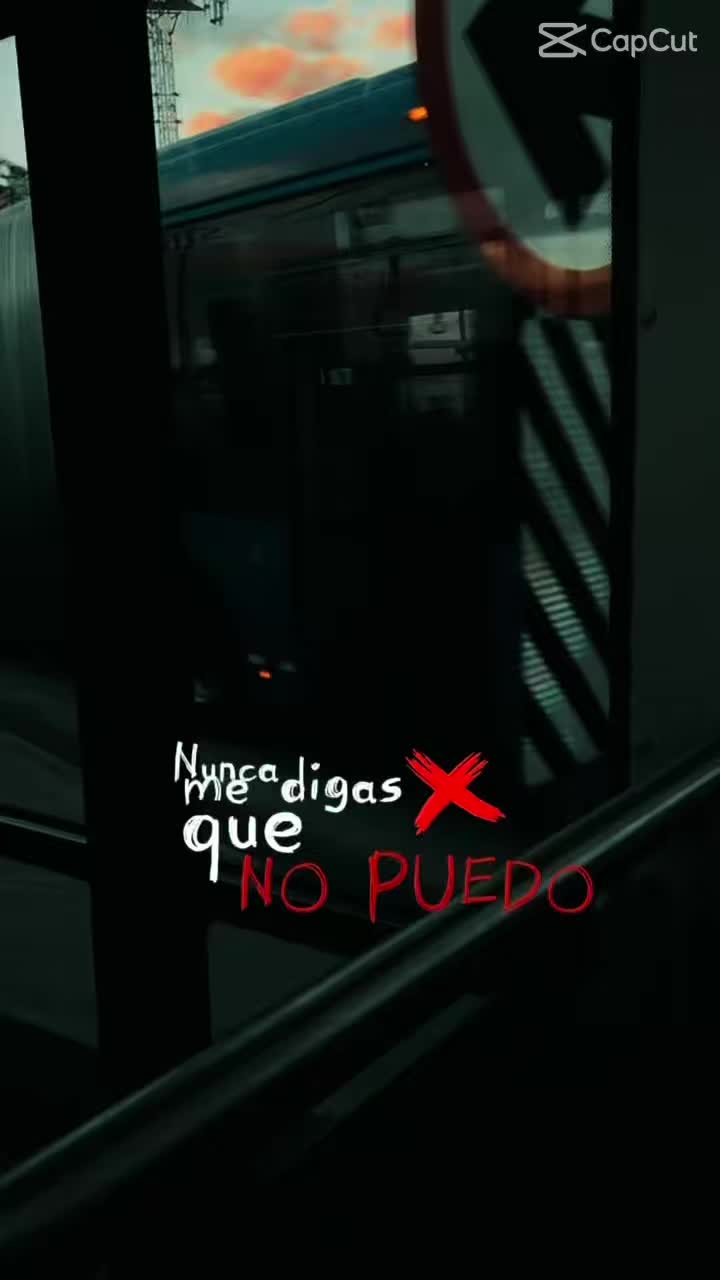 @cachorro 444