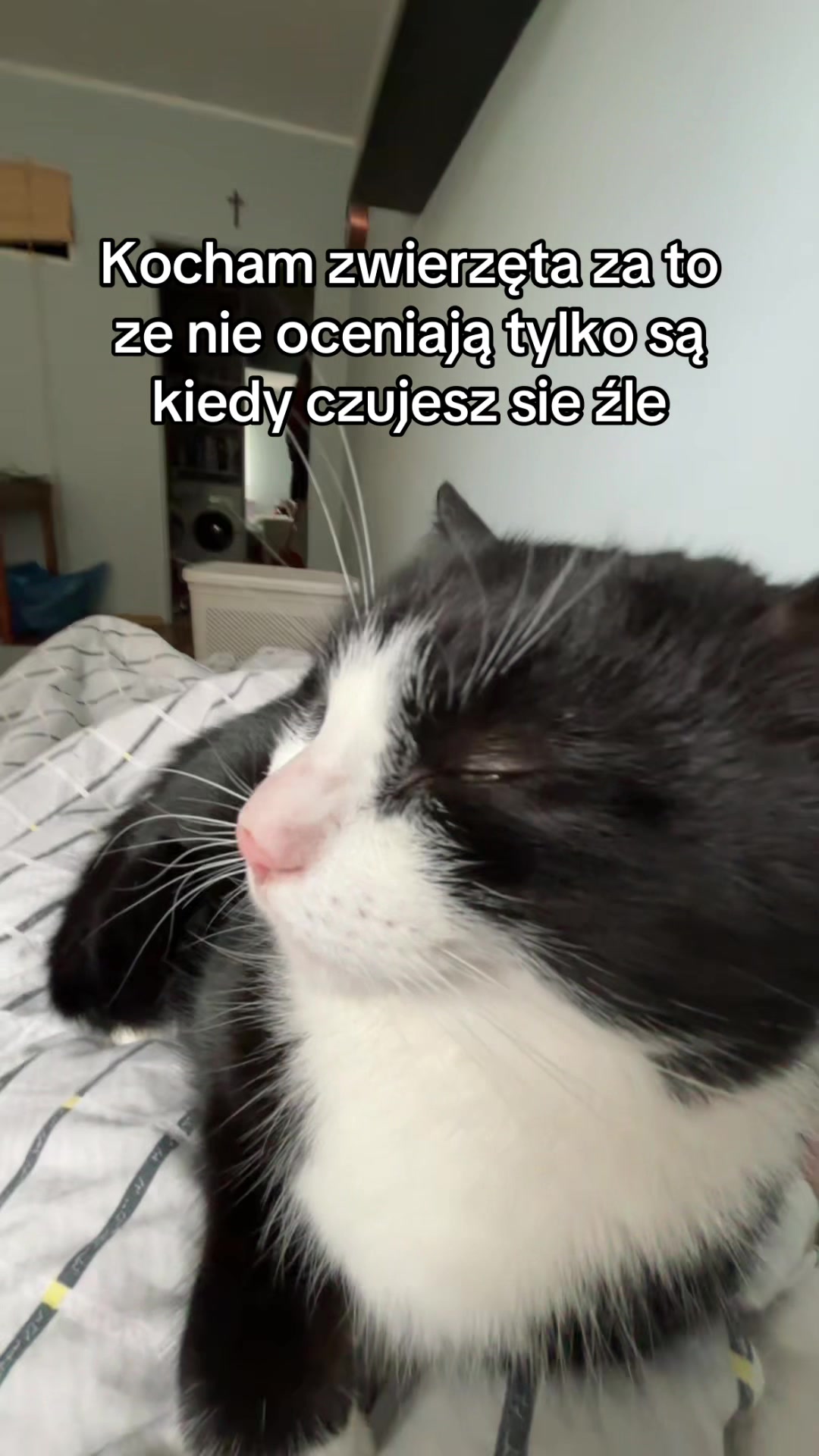 @k0walska04