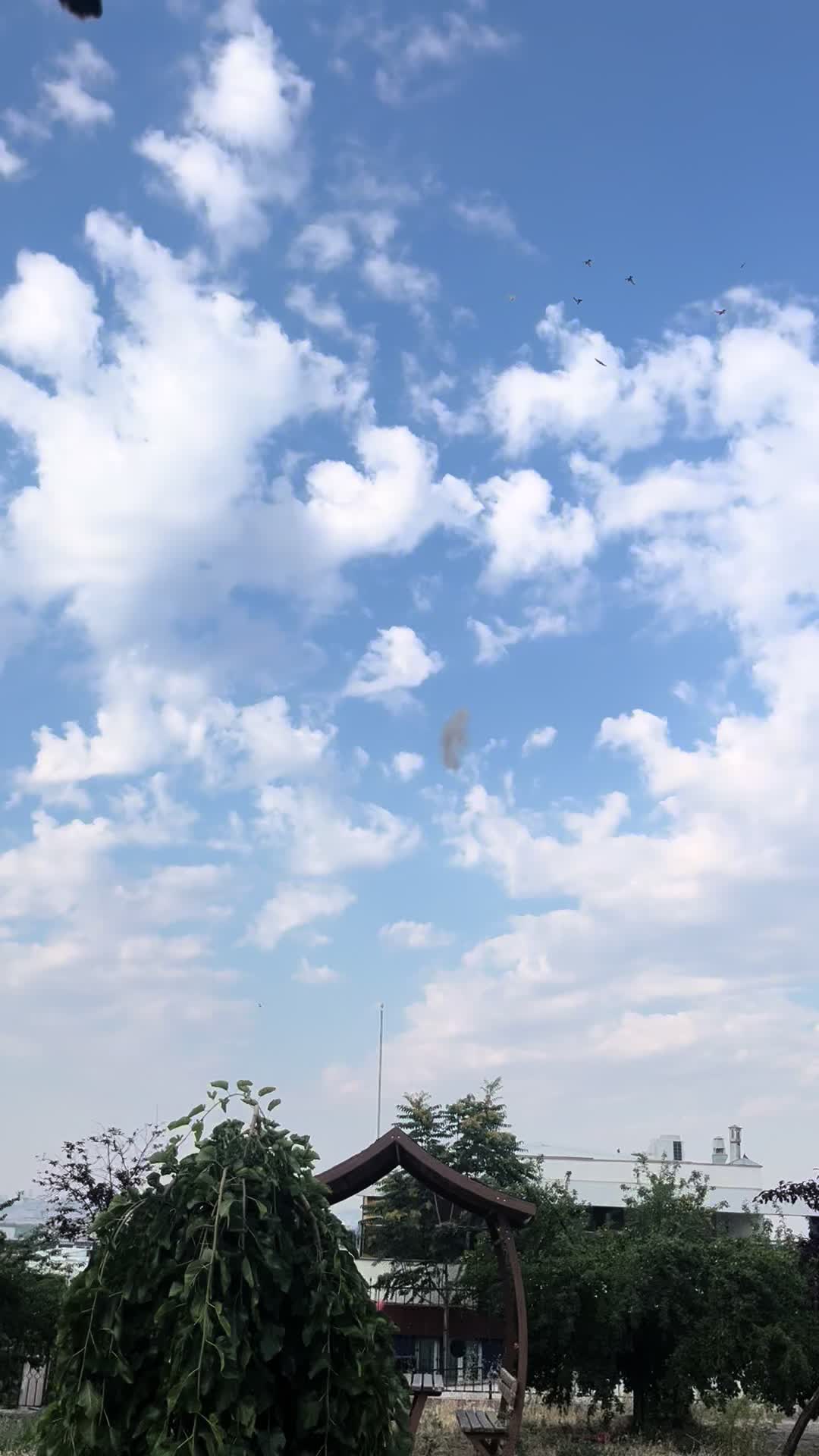 @Oyunkuşu06