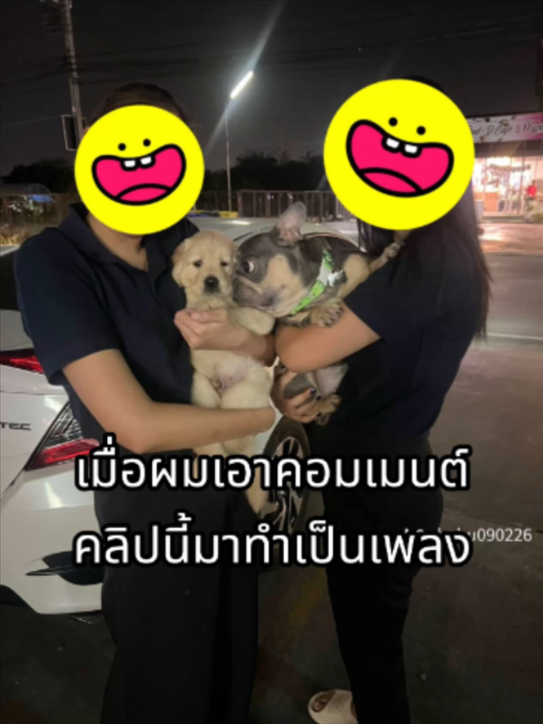 @ผักกาดดด