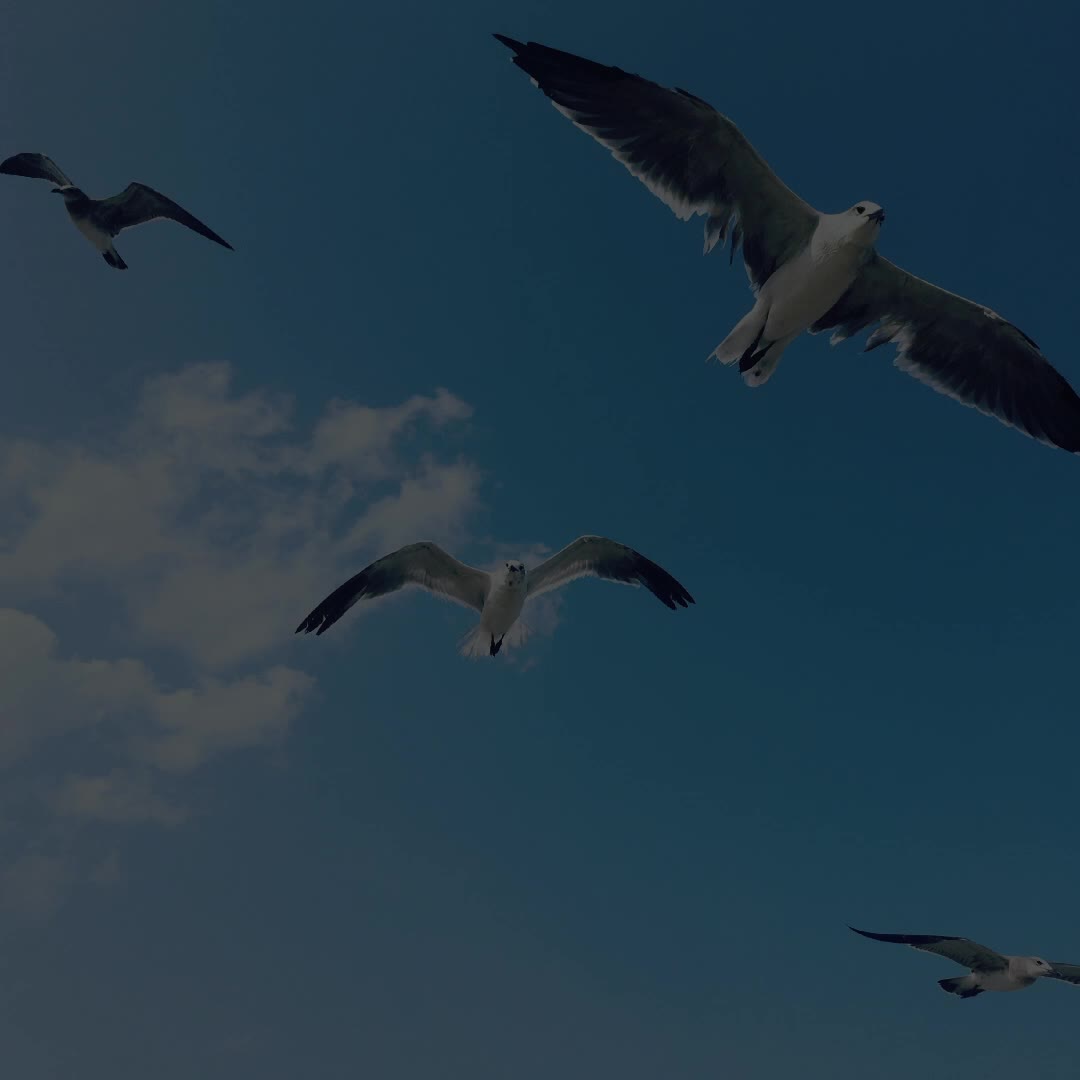 @M1K3 MUS1C