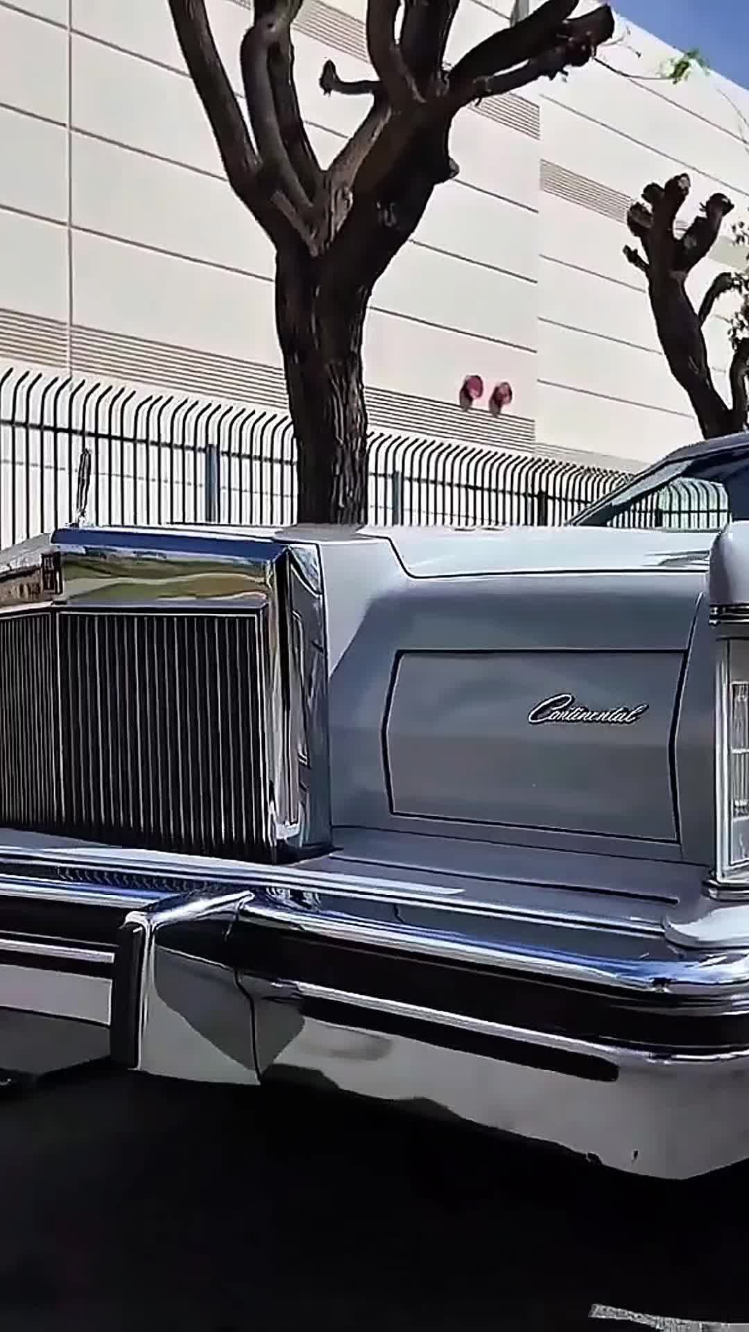 @𝙈𝙊𝙏𝙊𝙍𝙎 𝙈𝘼𝙉𝙄𝘼