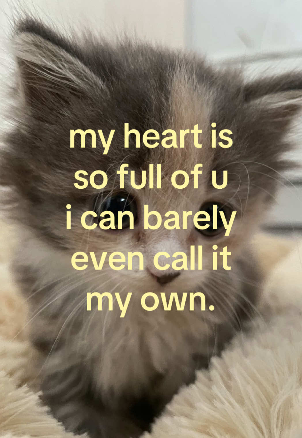 @caughtafeeling