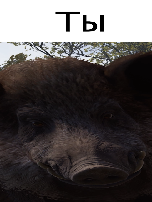 @Пупс