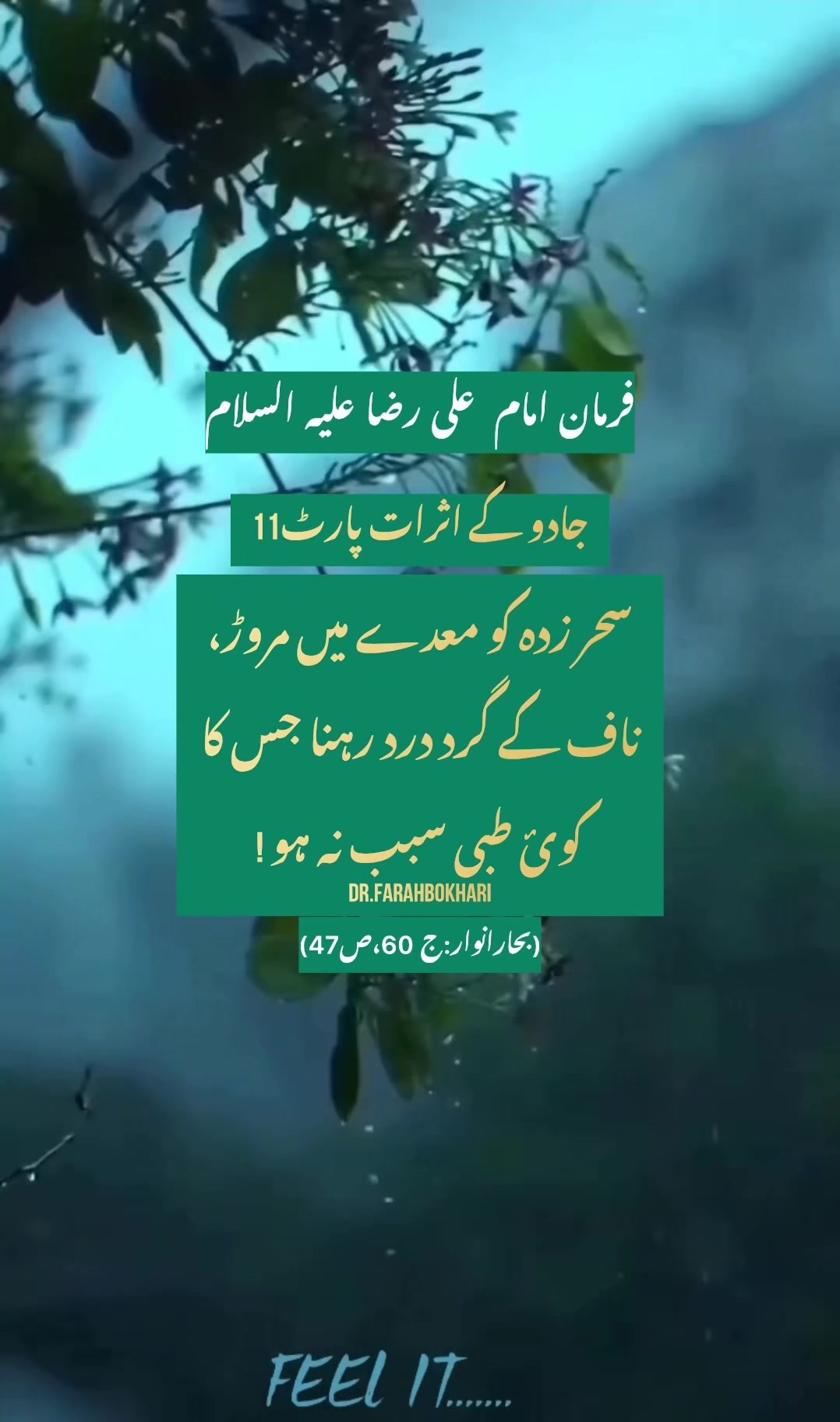 @dr.farahbokhari