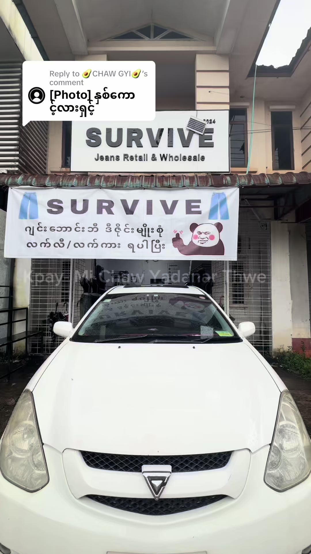 @SURVIVE OFFICIAL